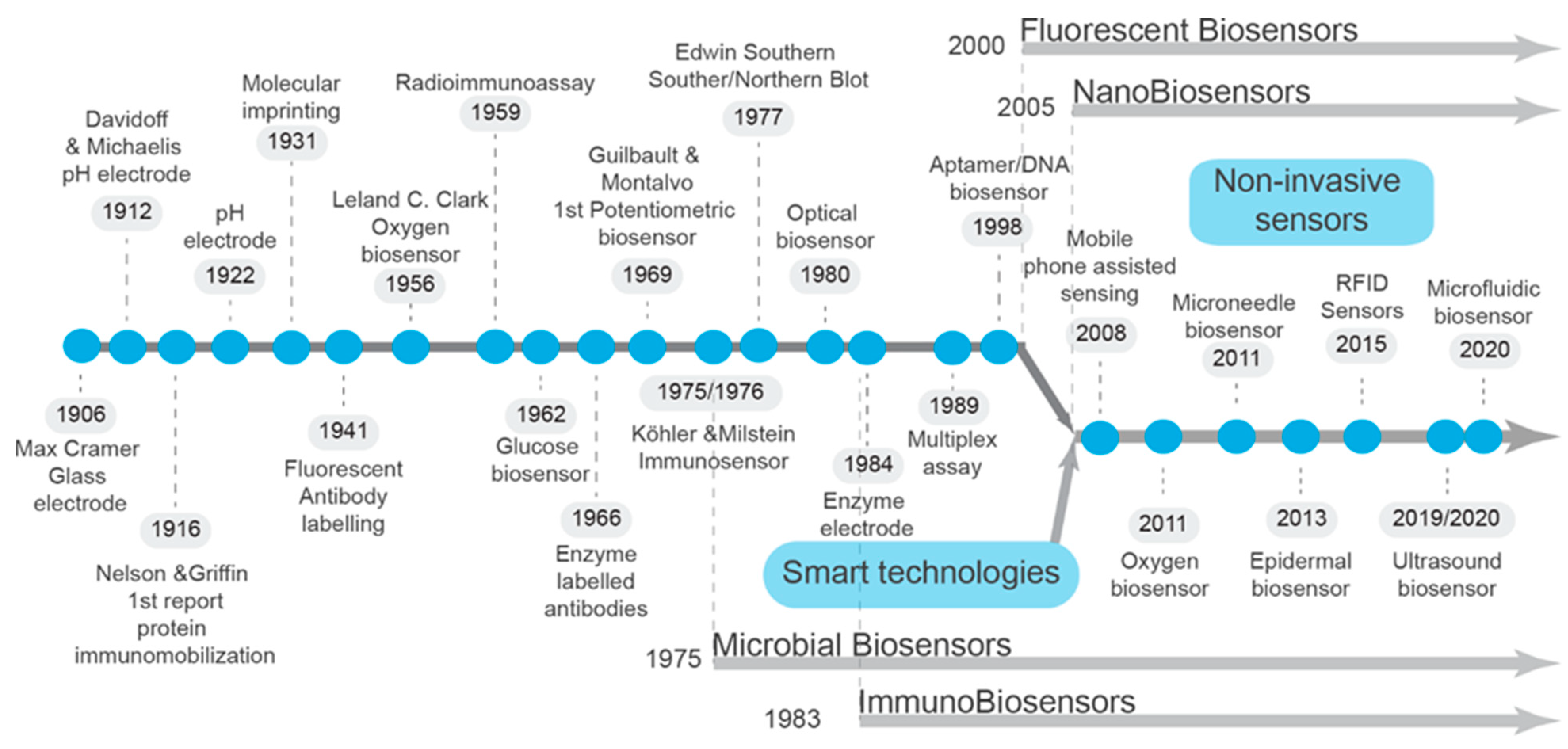 Animals 14 03138 g001