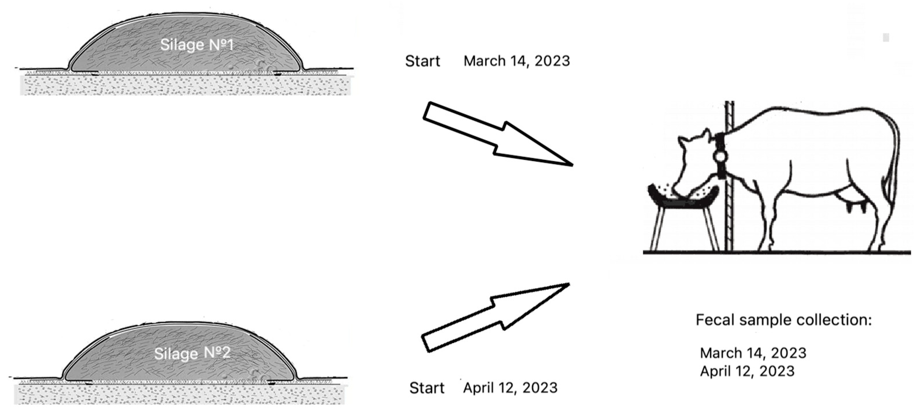 Animals 14 03148 g001