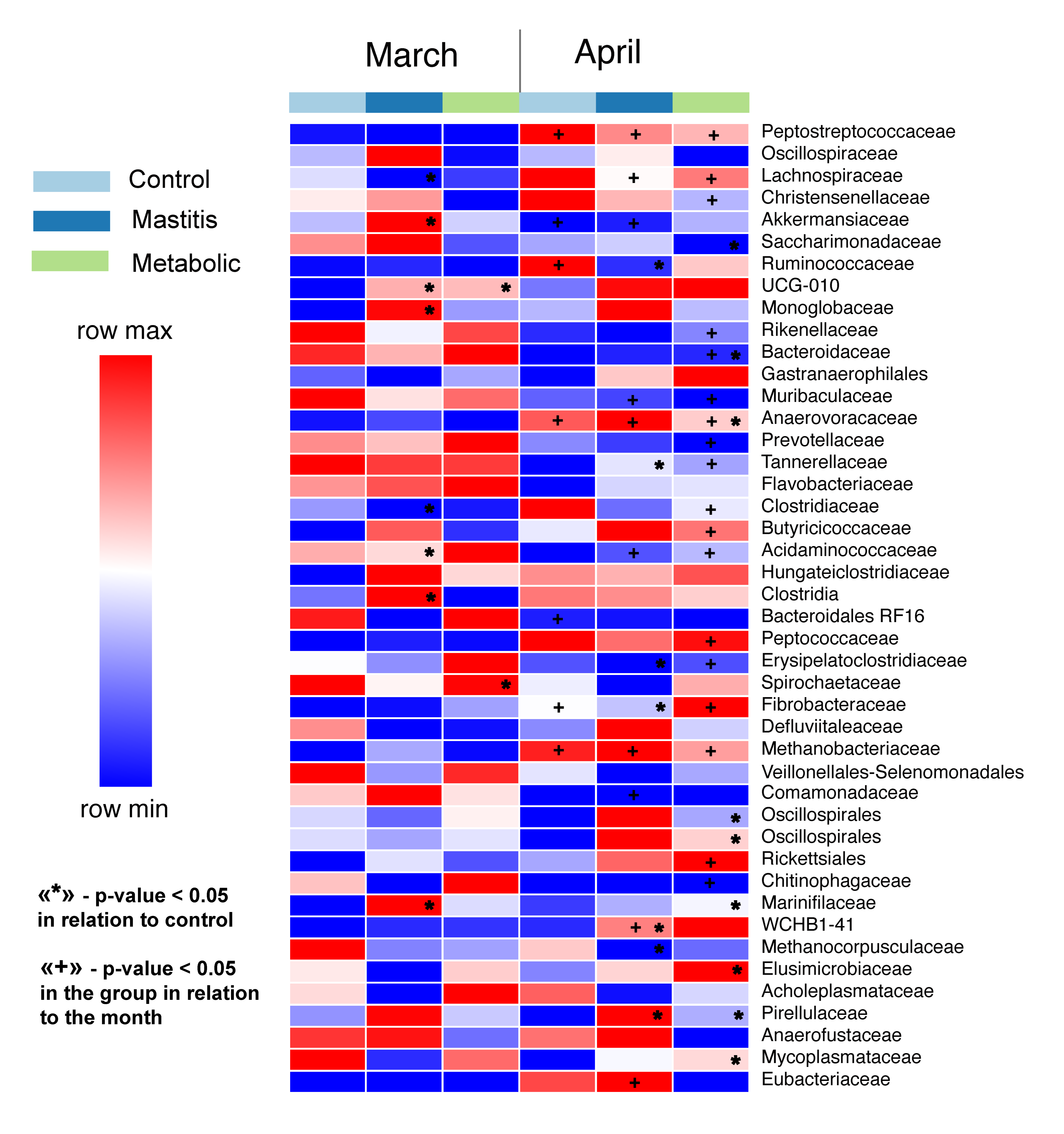 Animals 14 03148 g006