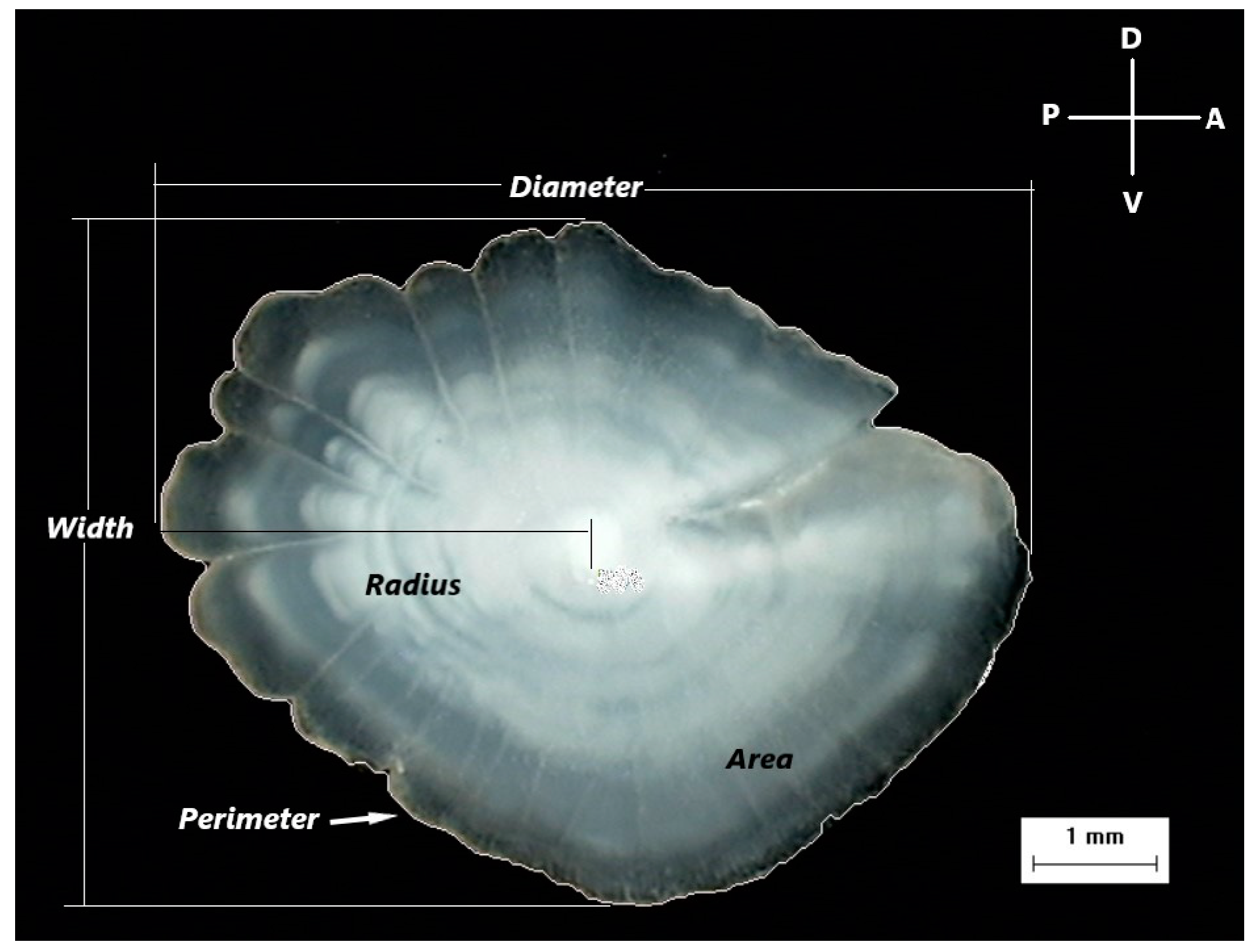 Animals 14 03151 g002