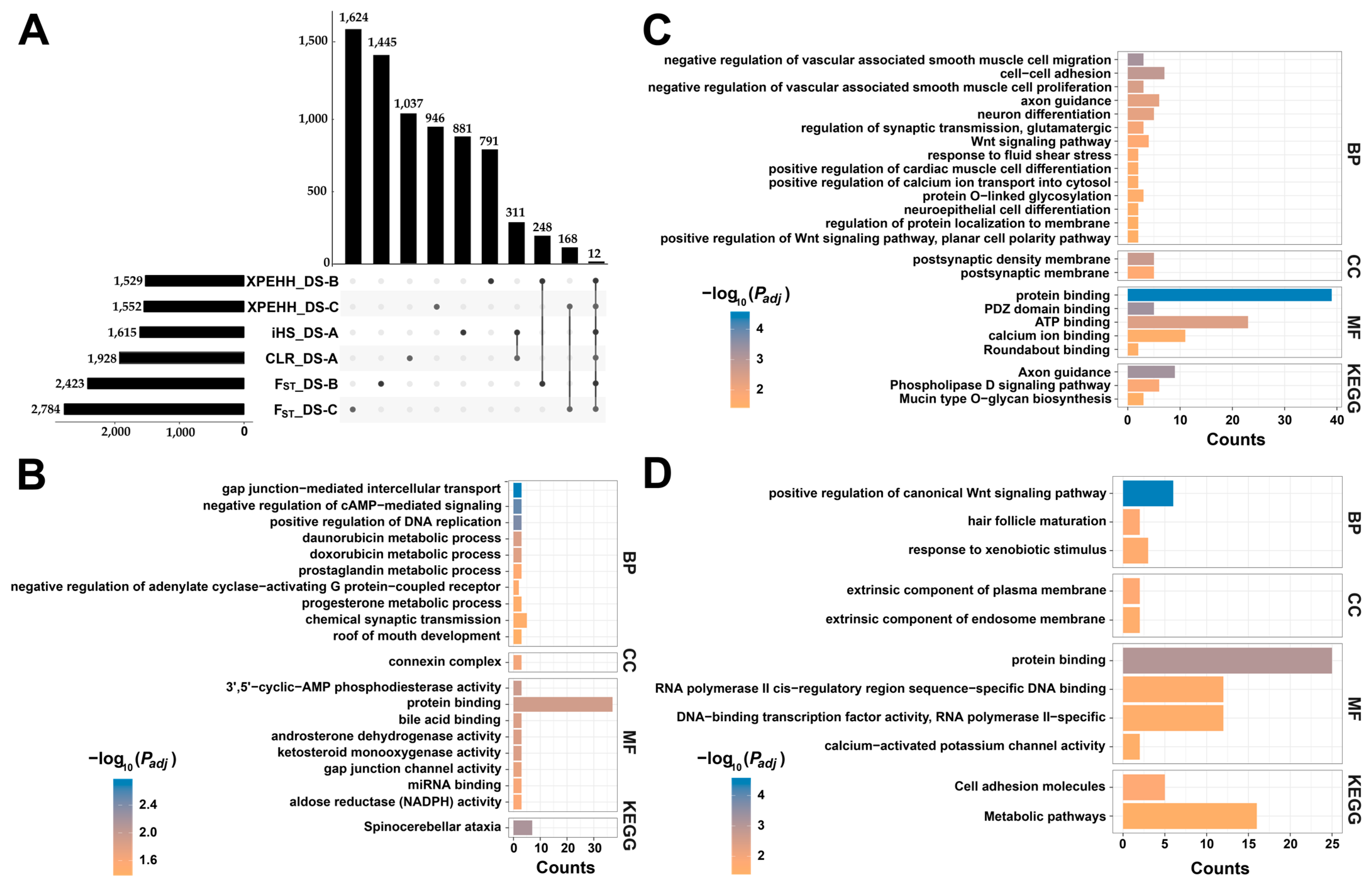 Animals 14 03154 g006