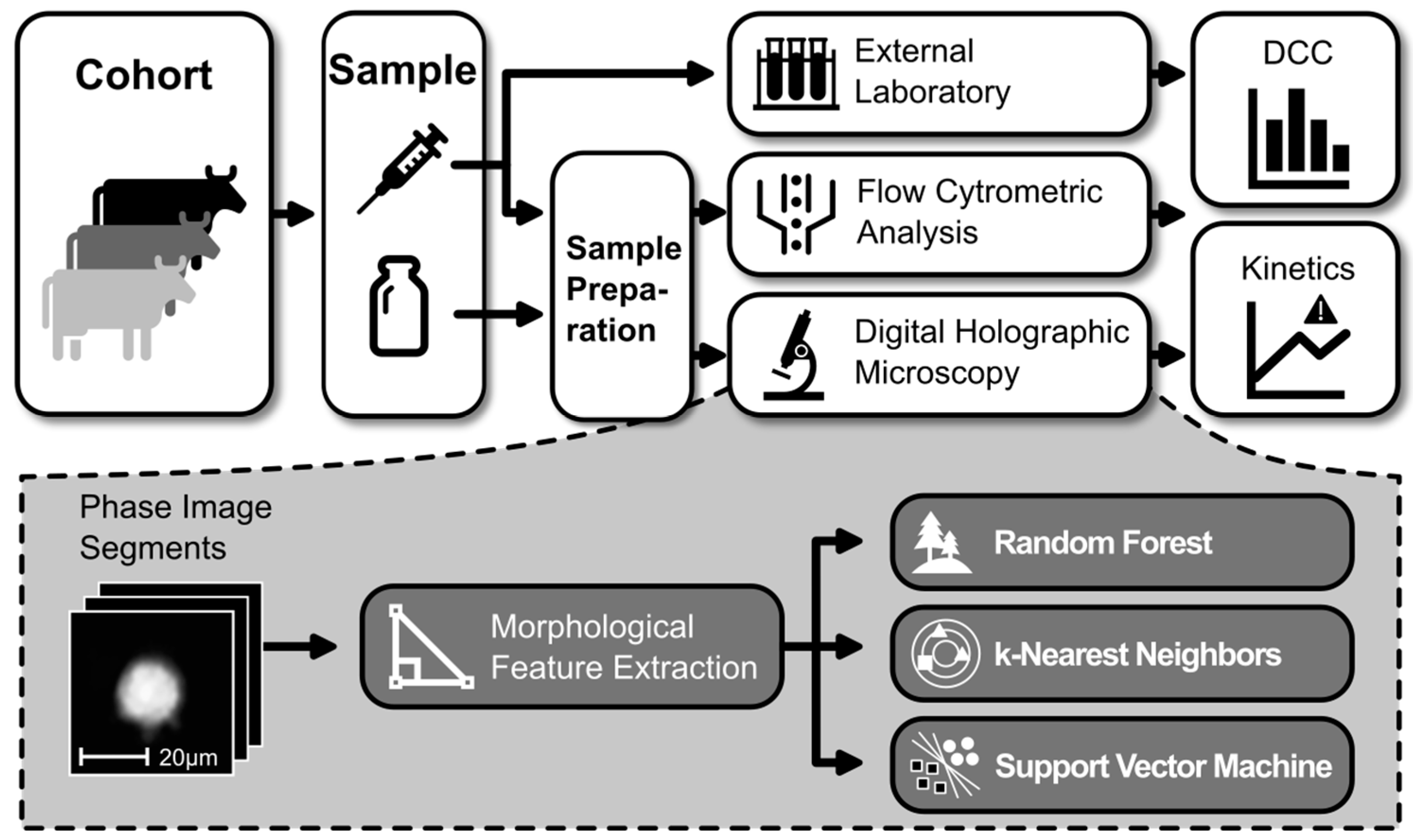 Animals 14 03156 g001
