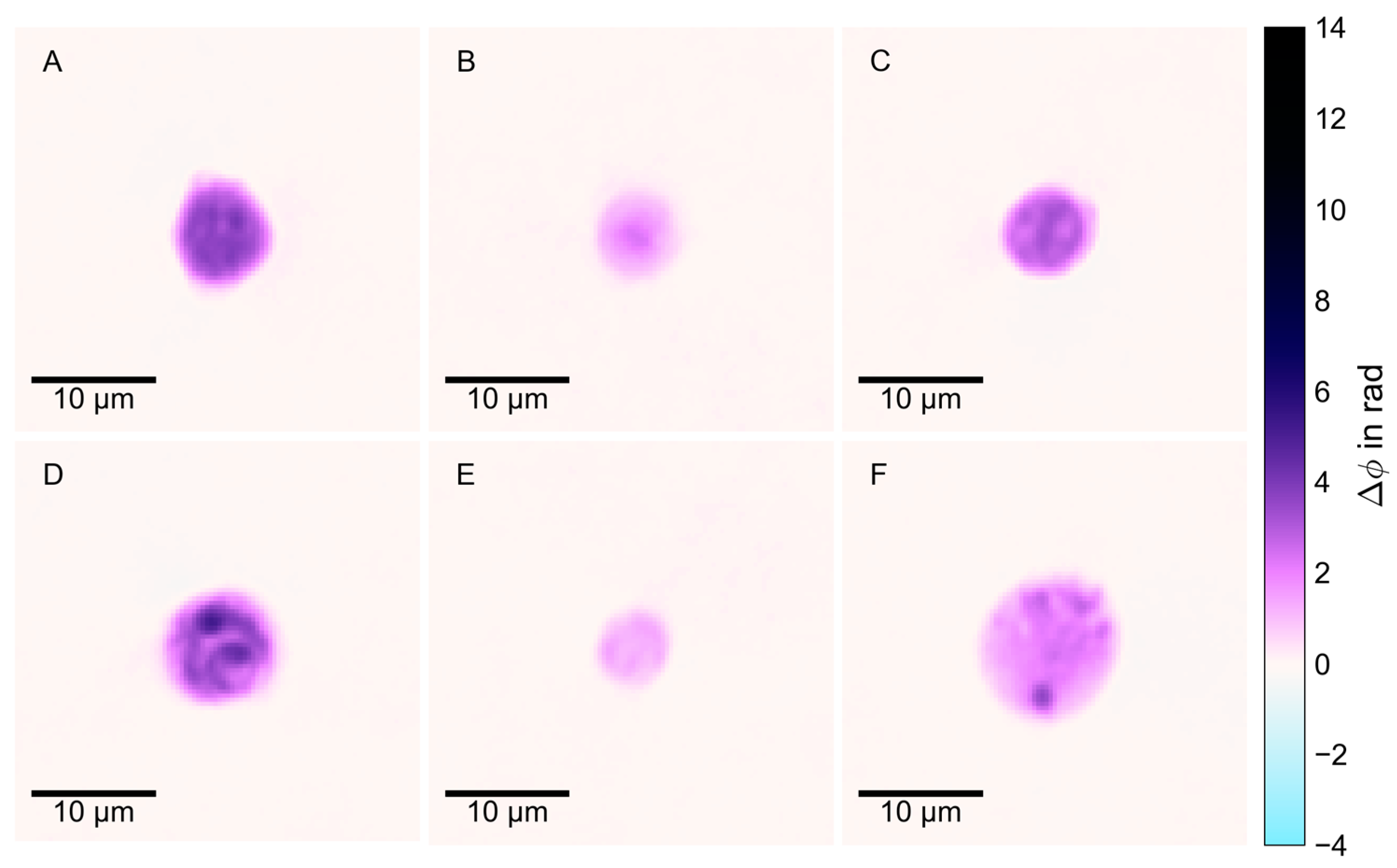 Animals 14 03156 g003