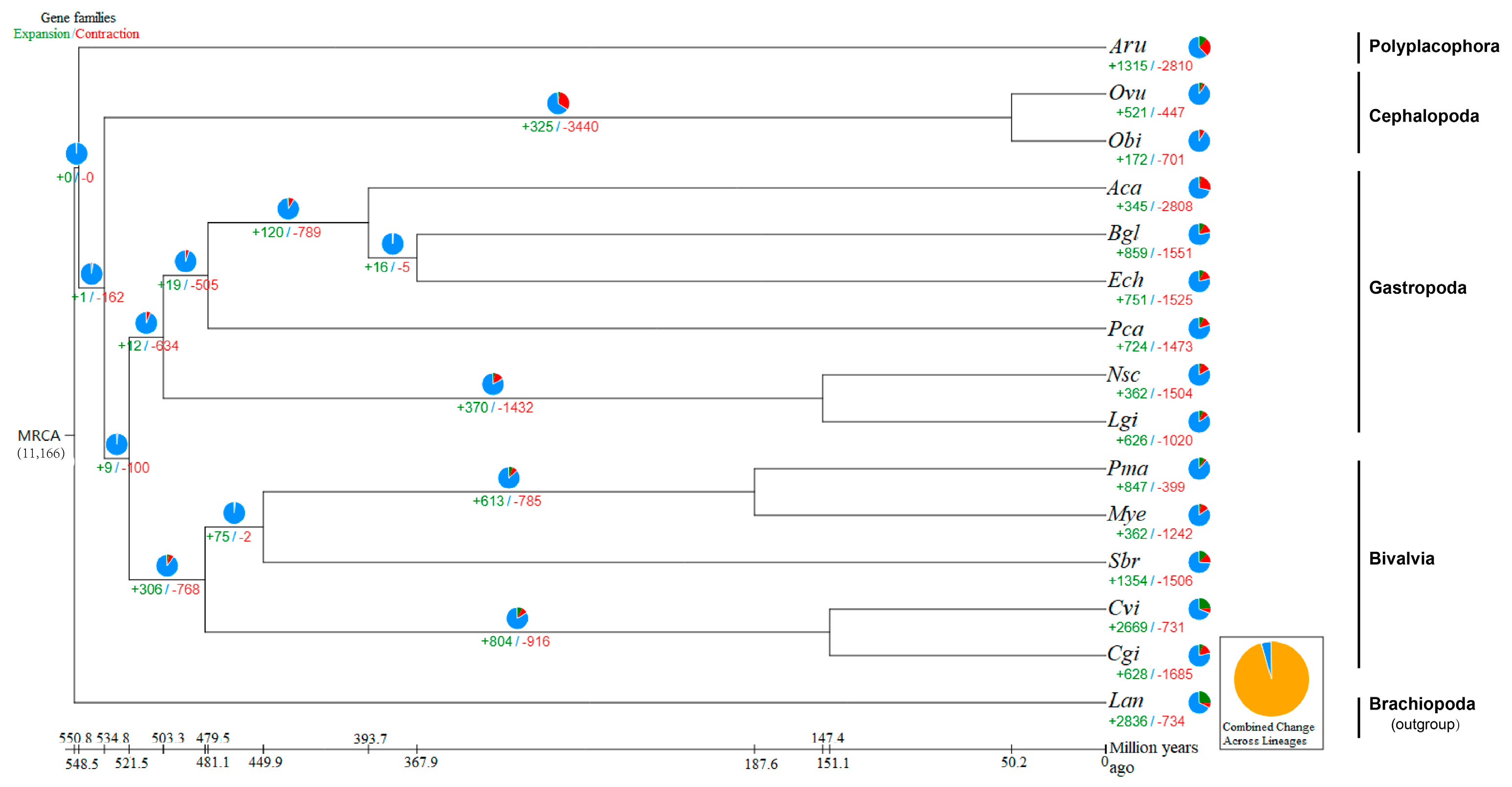 Animals 14 03161 g008 Animals 14 03161 g008