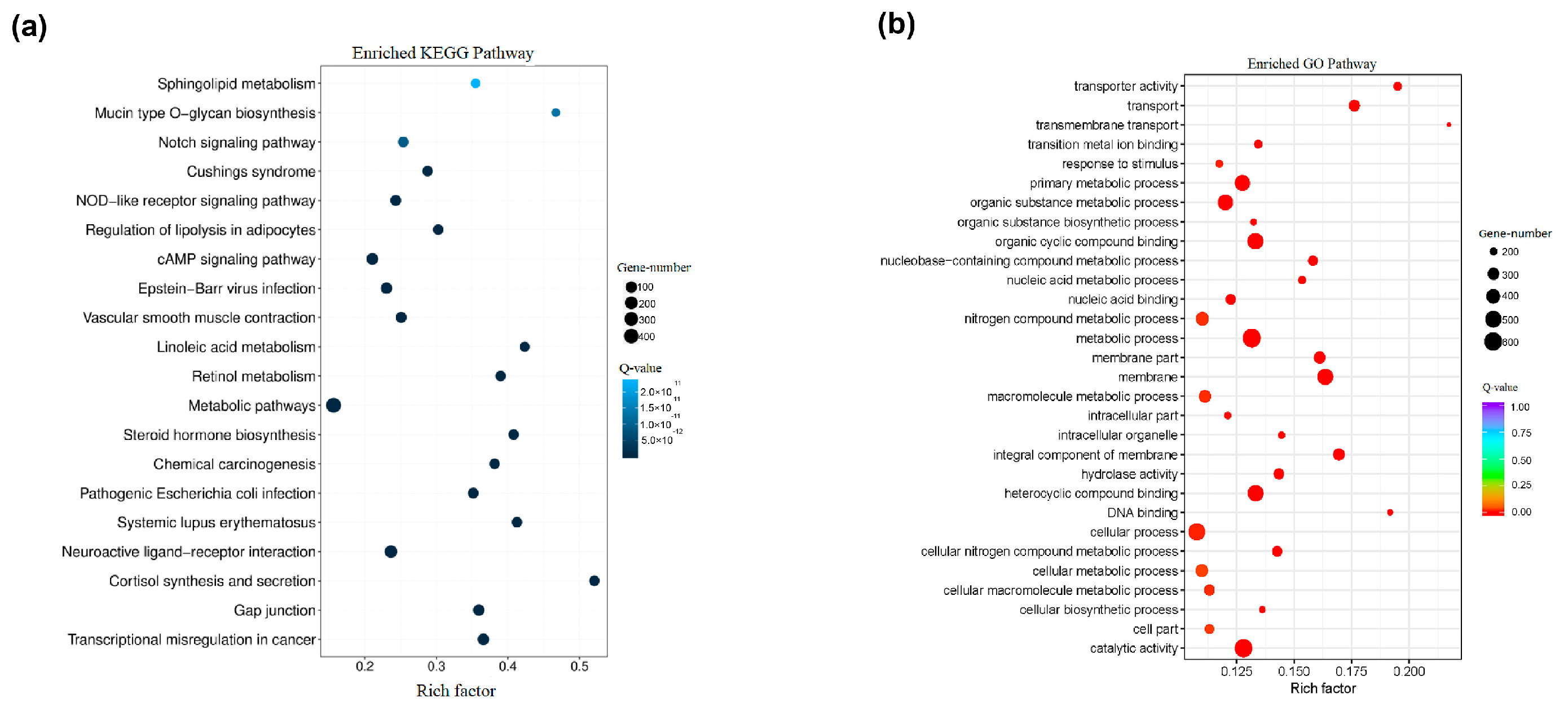 Animals 14 03161 g009 Animals 14 03161 g009