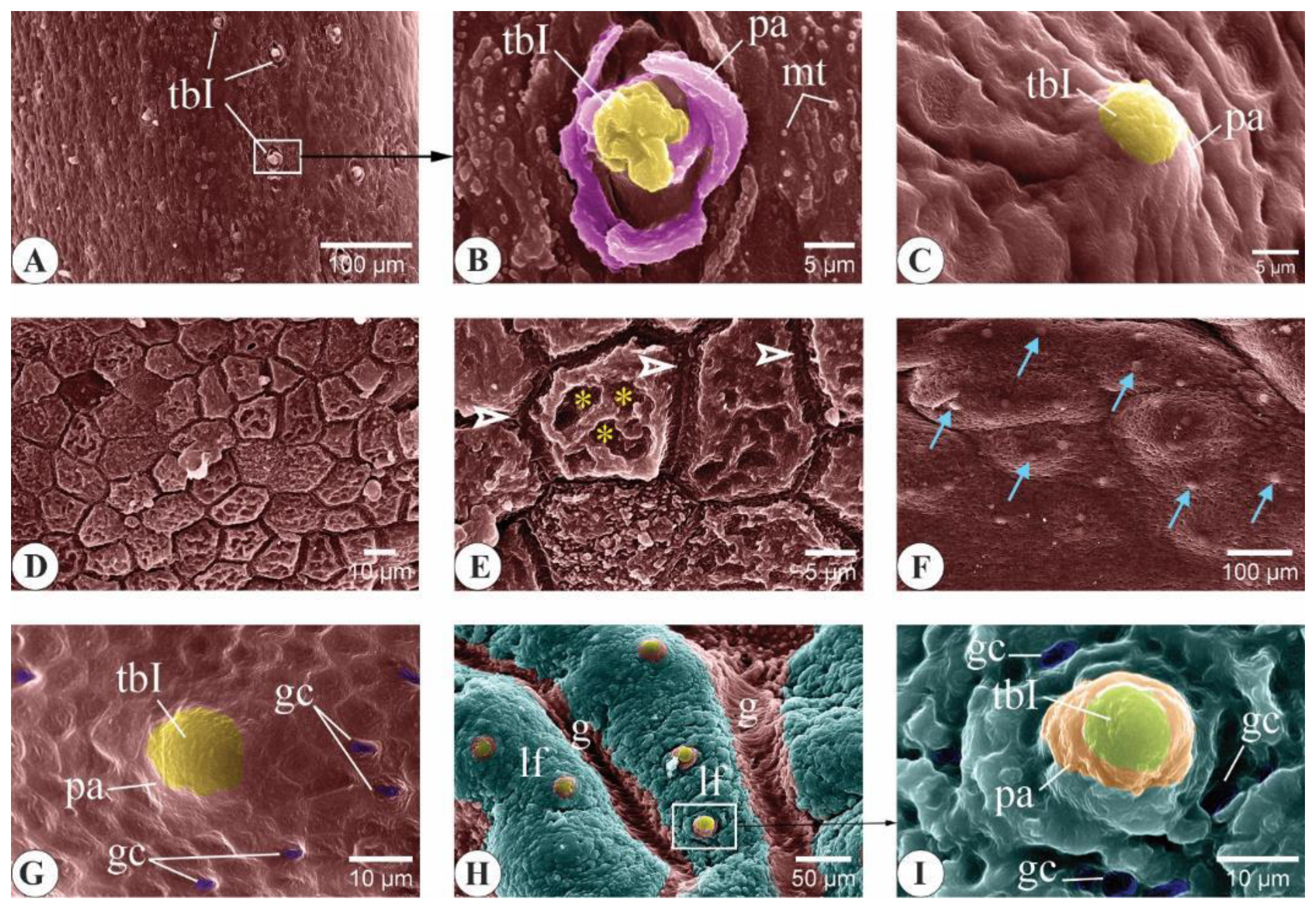 Animals 14 03162 g004