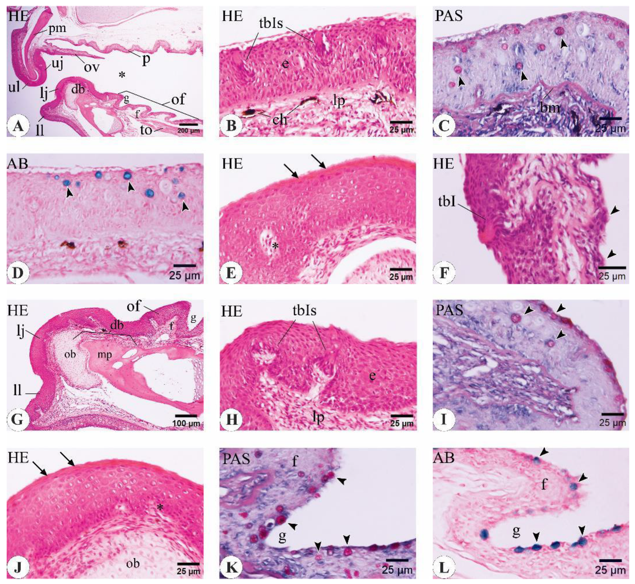 Animals 14 03162 g008