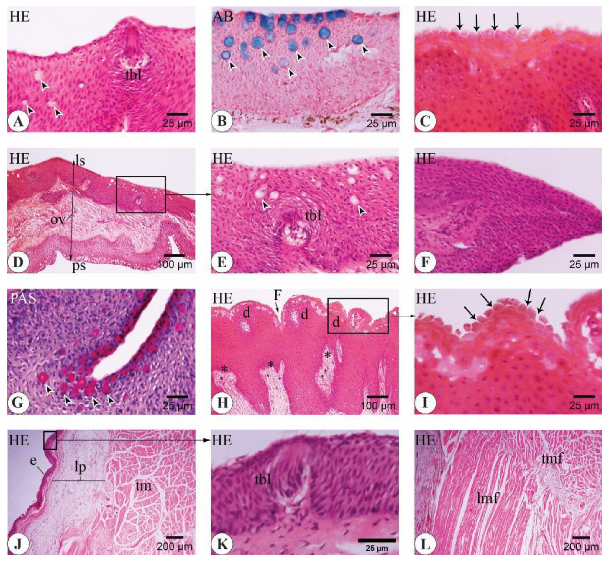 Animals 14 03162 g010