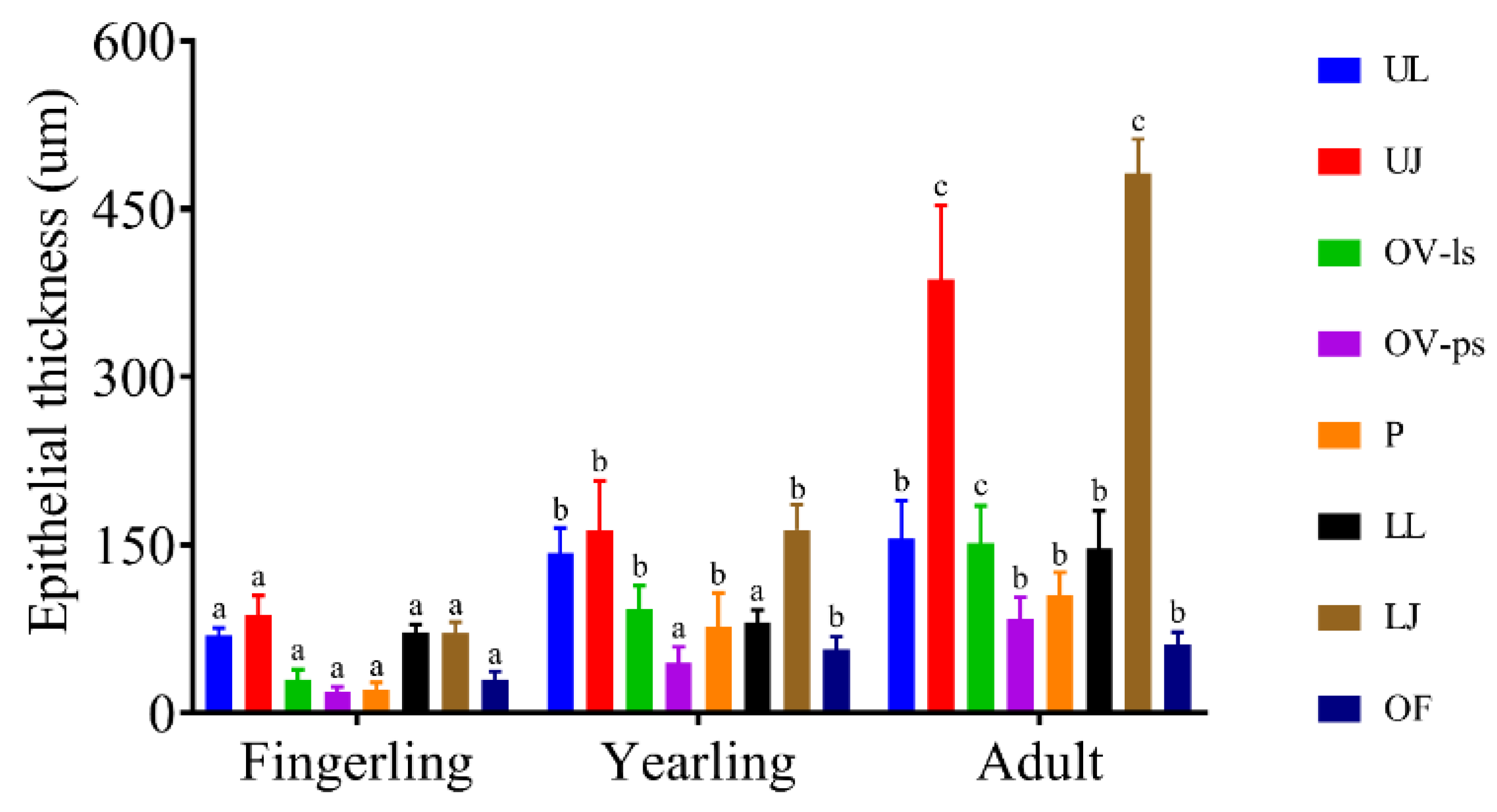 Animals 14 03162 g011