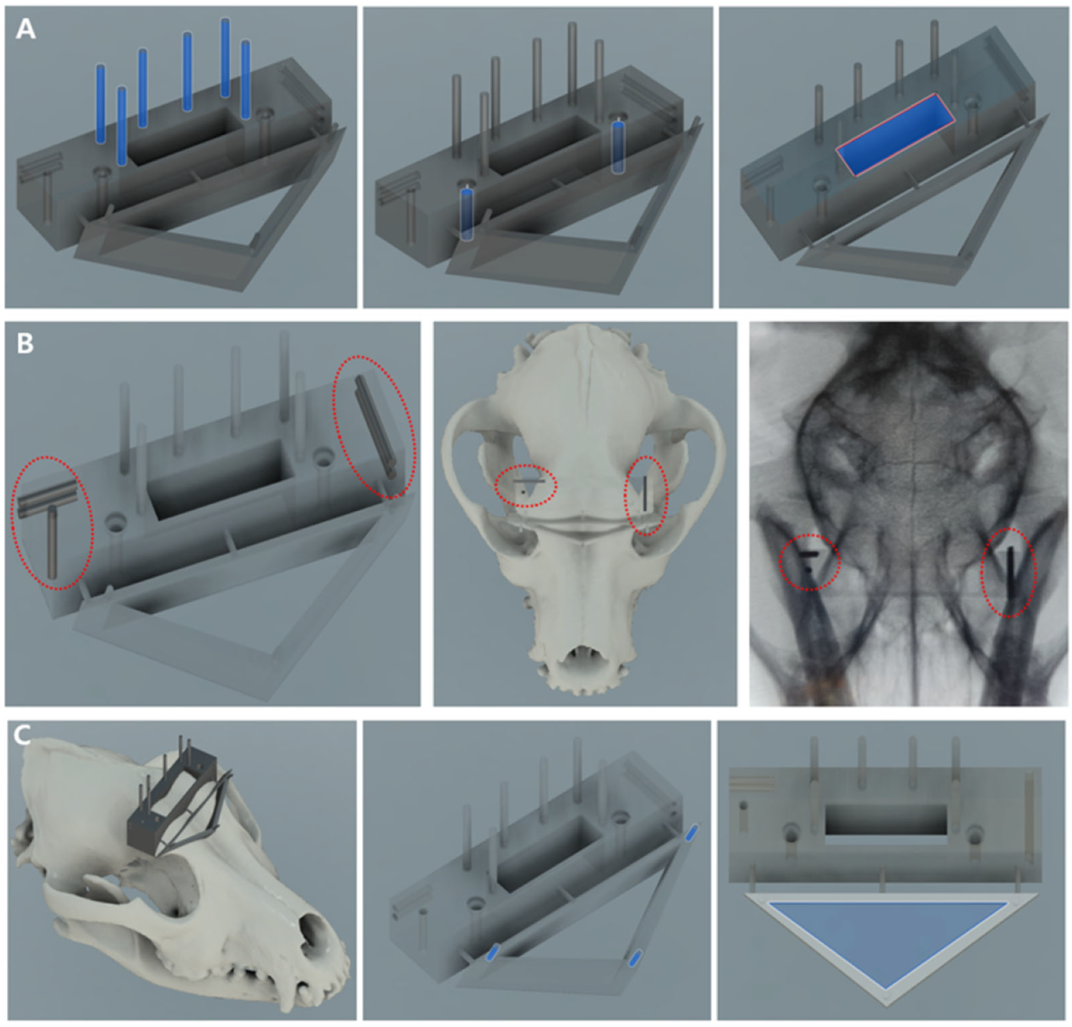 Animals 14 03163 g003