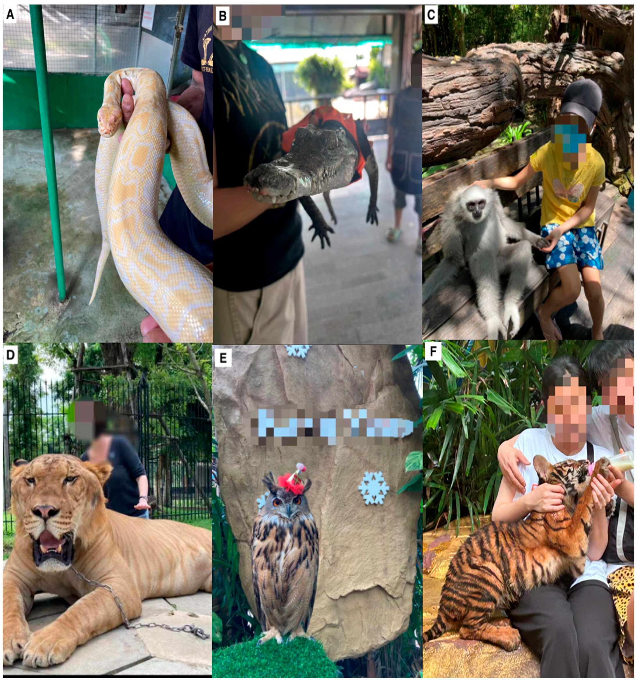 Animals 14 03167 g002