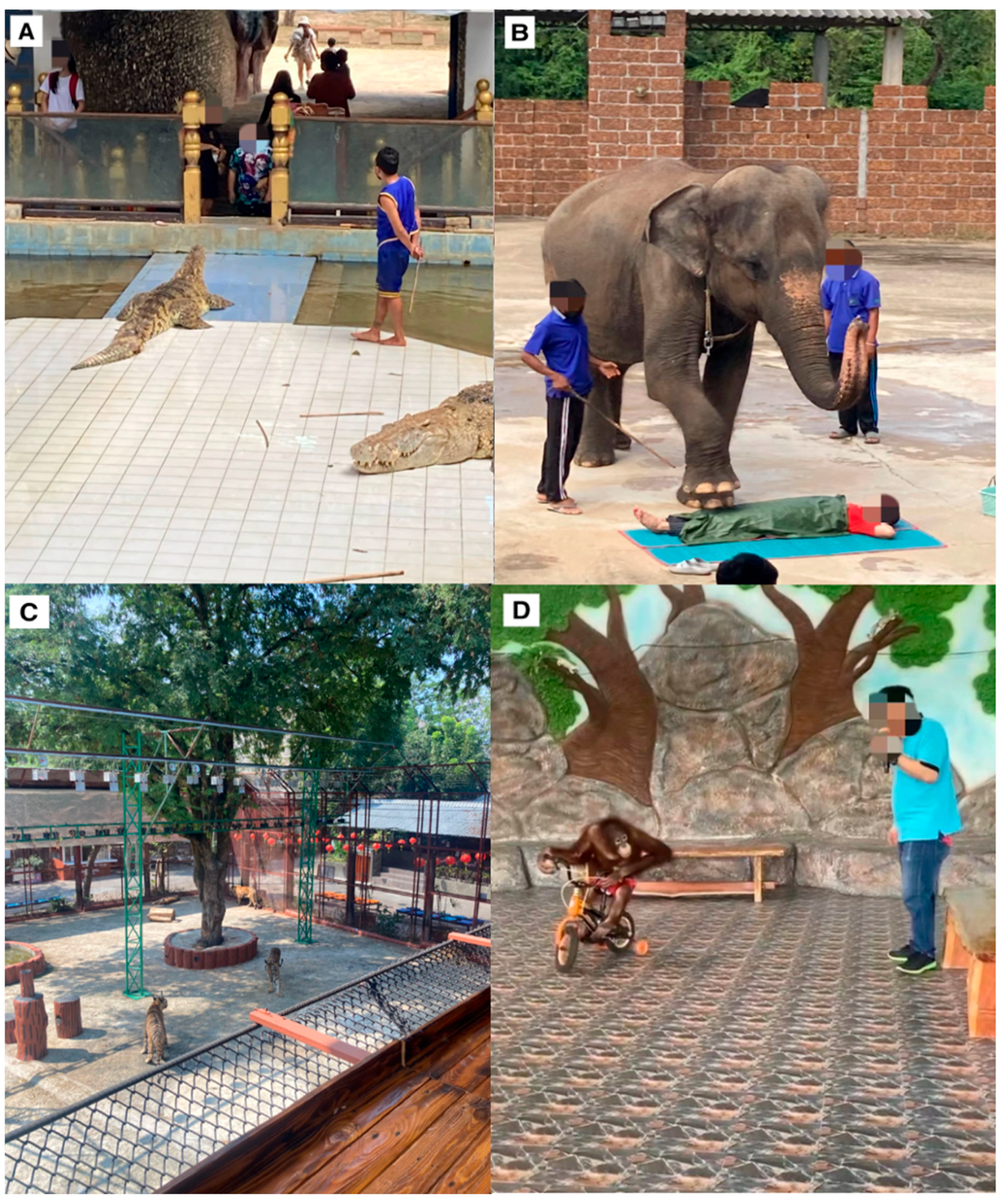 Animals 14 03167 g008