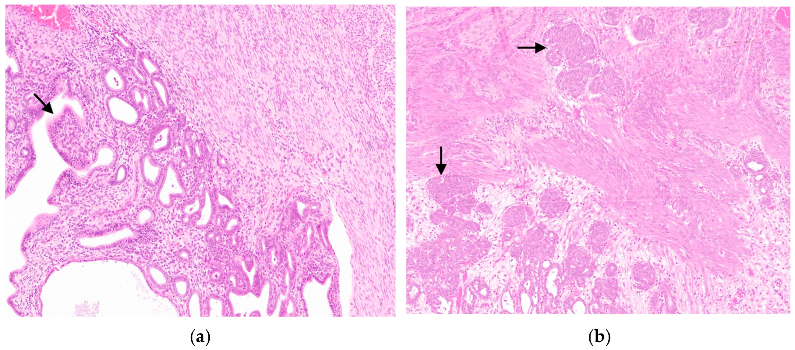 Animals 14 03169 g001 Animals 14 03169 g001