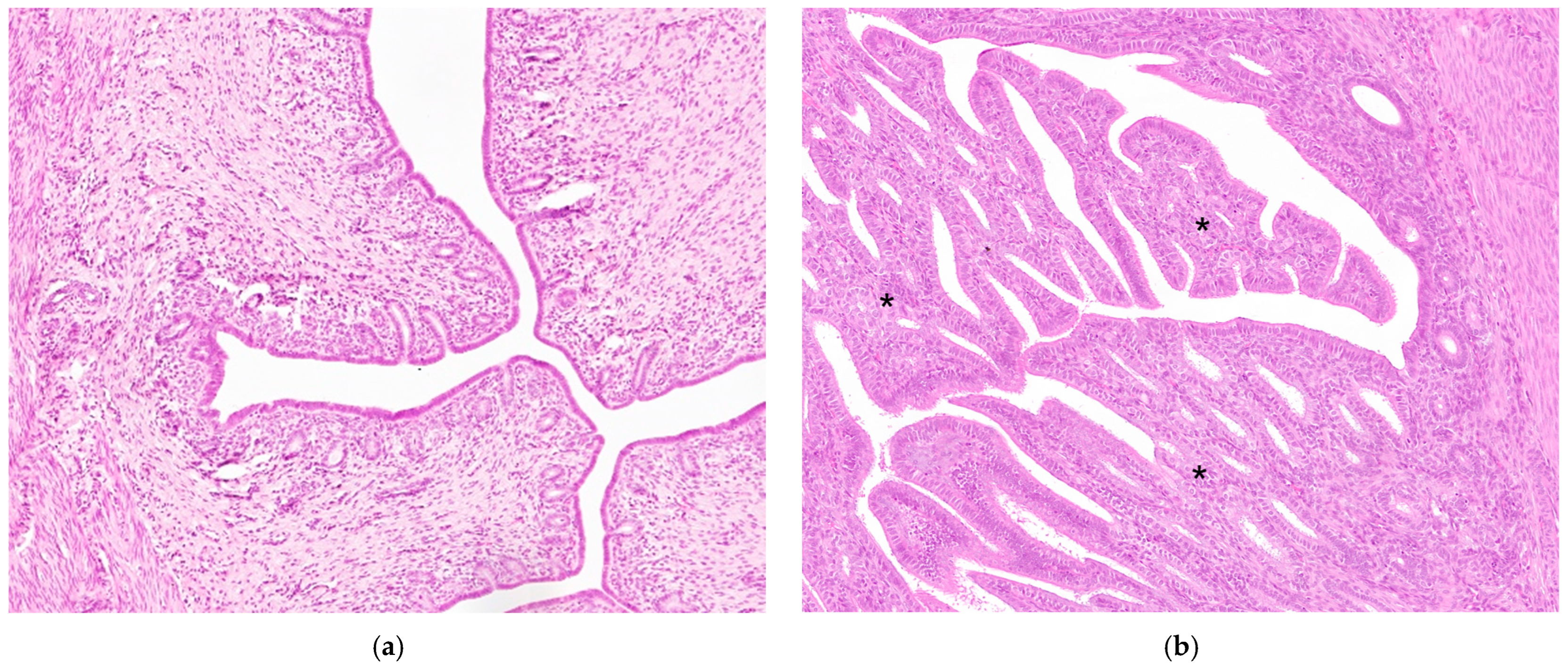 Animals 14 03169 g003 Animals 14 03169 g003