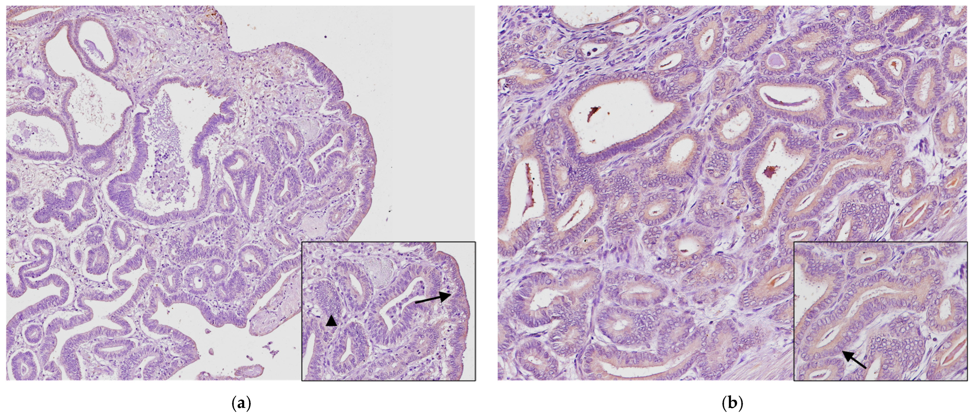 Animals 14 03169 g004a Animals 14 03169 g004a