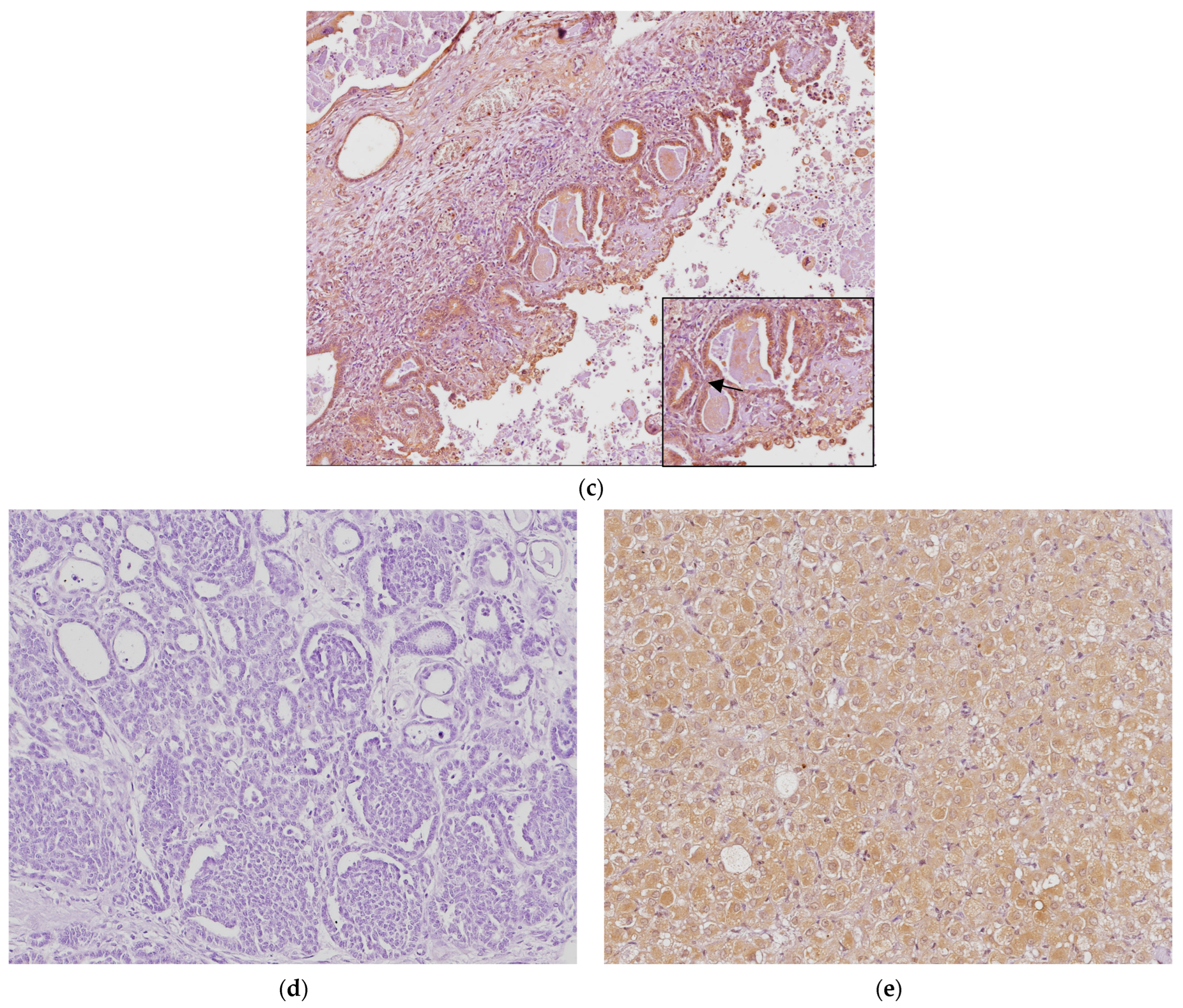 Animals 14 03169 g004b Animals 14 03169 g004b