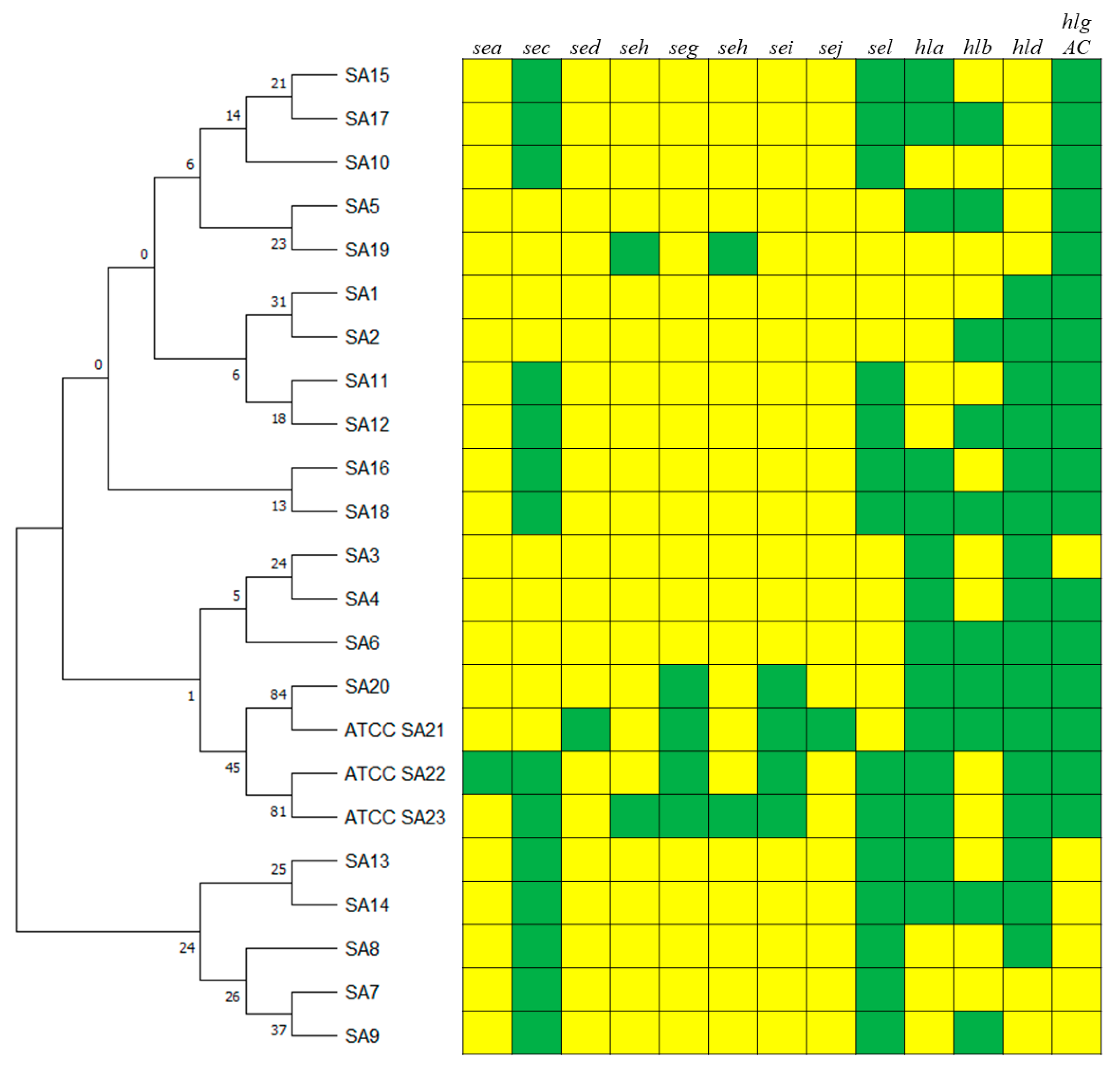 Animals 14 03172 g001