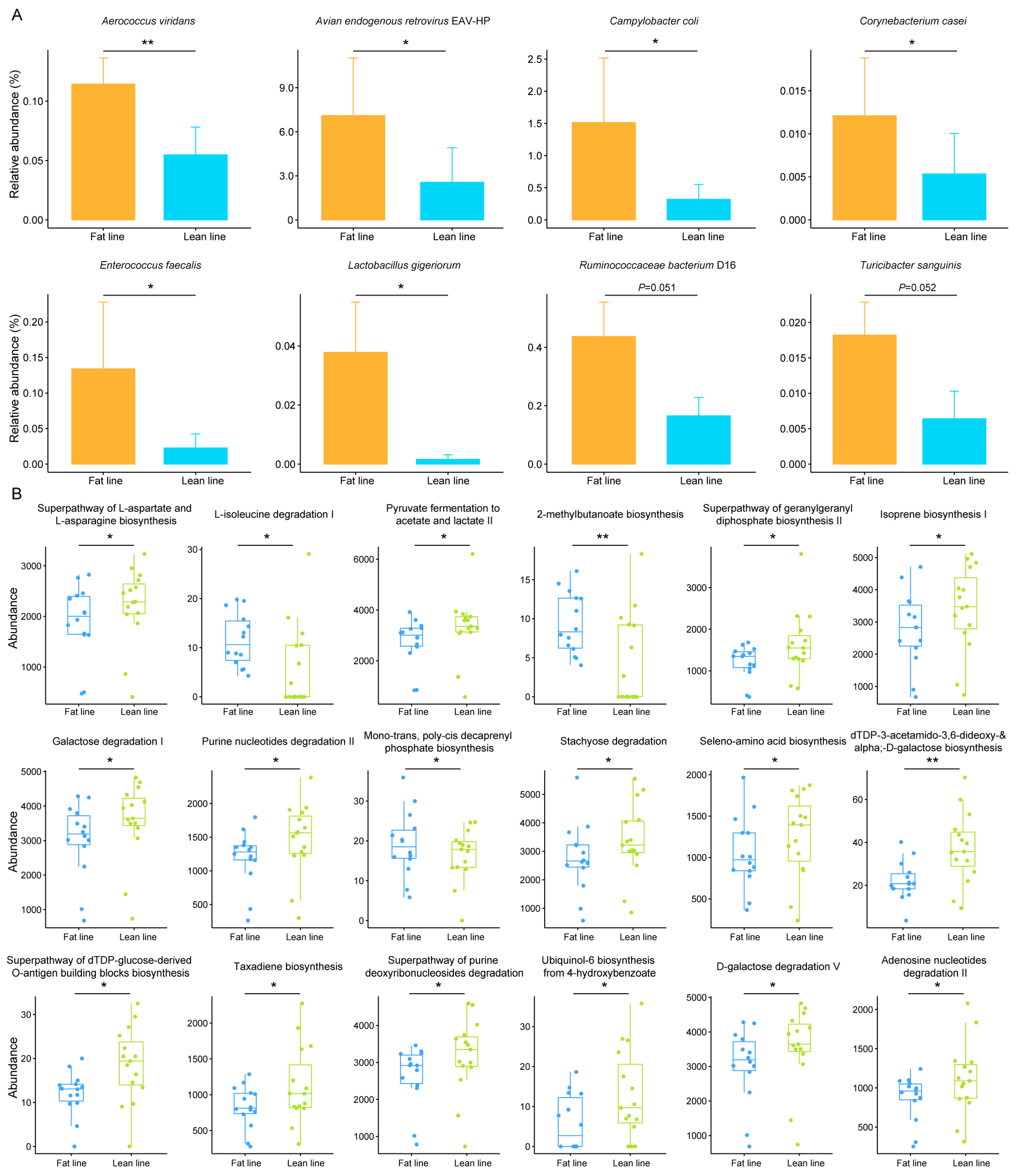 Animals 14 03174 g002