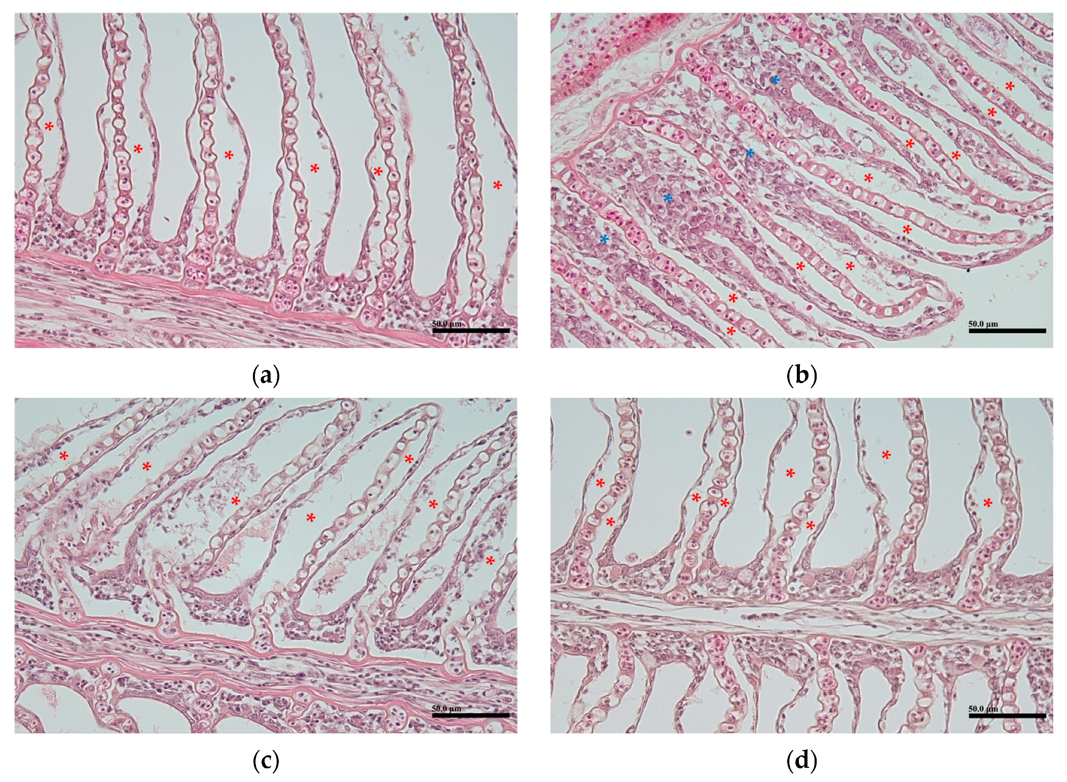 Animals 14 03176 g004