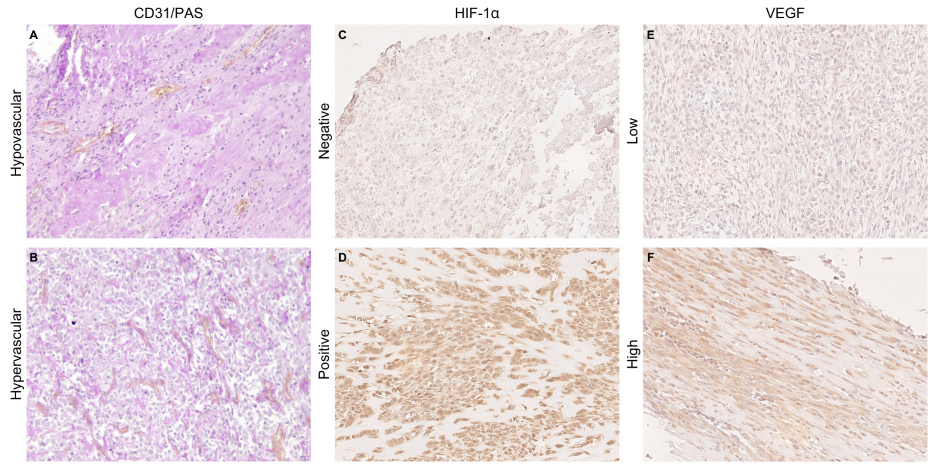 Animals 14 03181 g001 Animals 14 03181 g001