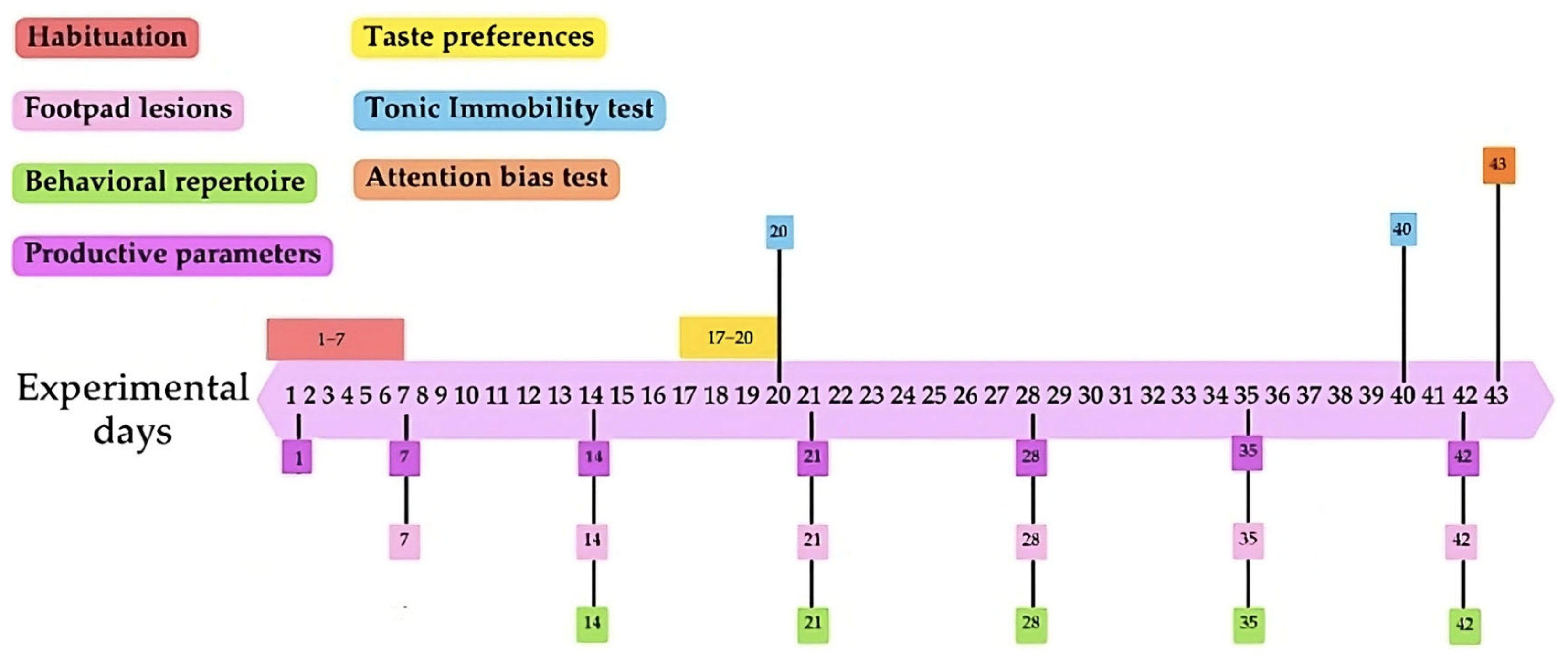 Animals 14 03186 g001