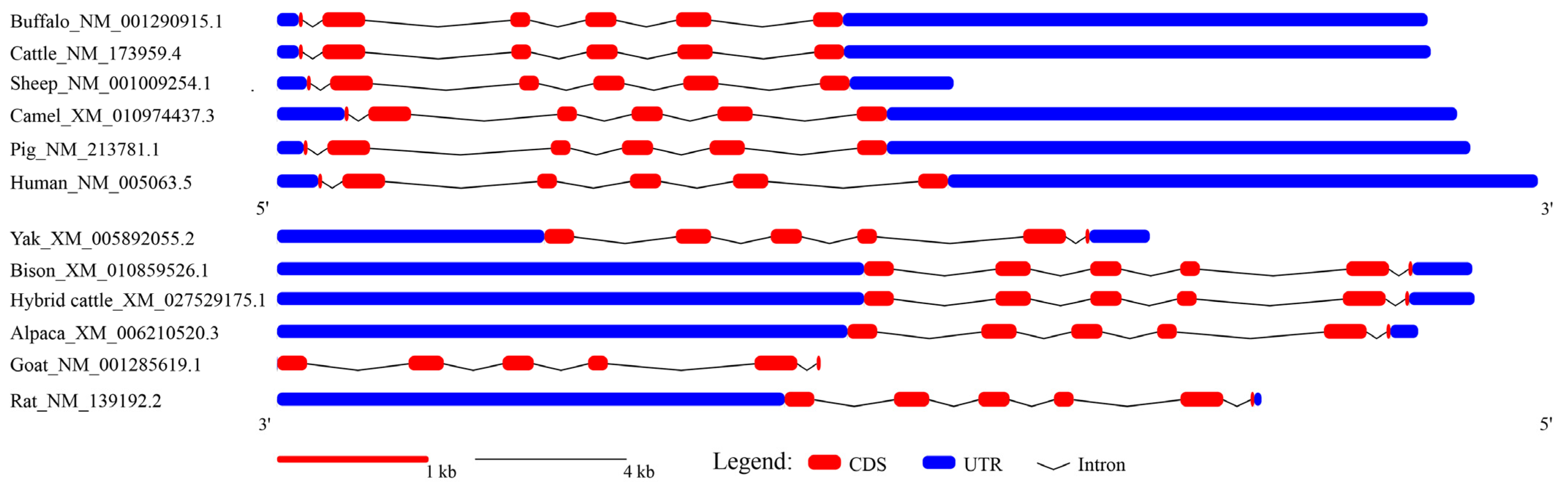Animals 14 03191 g003