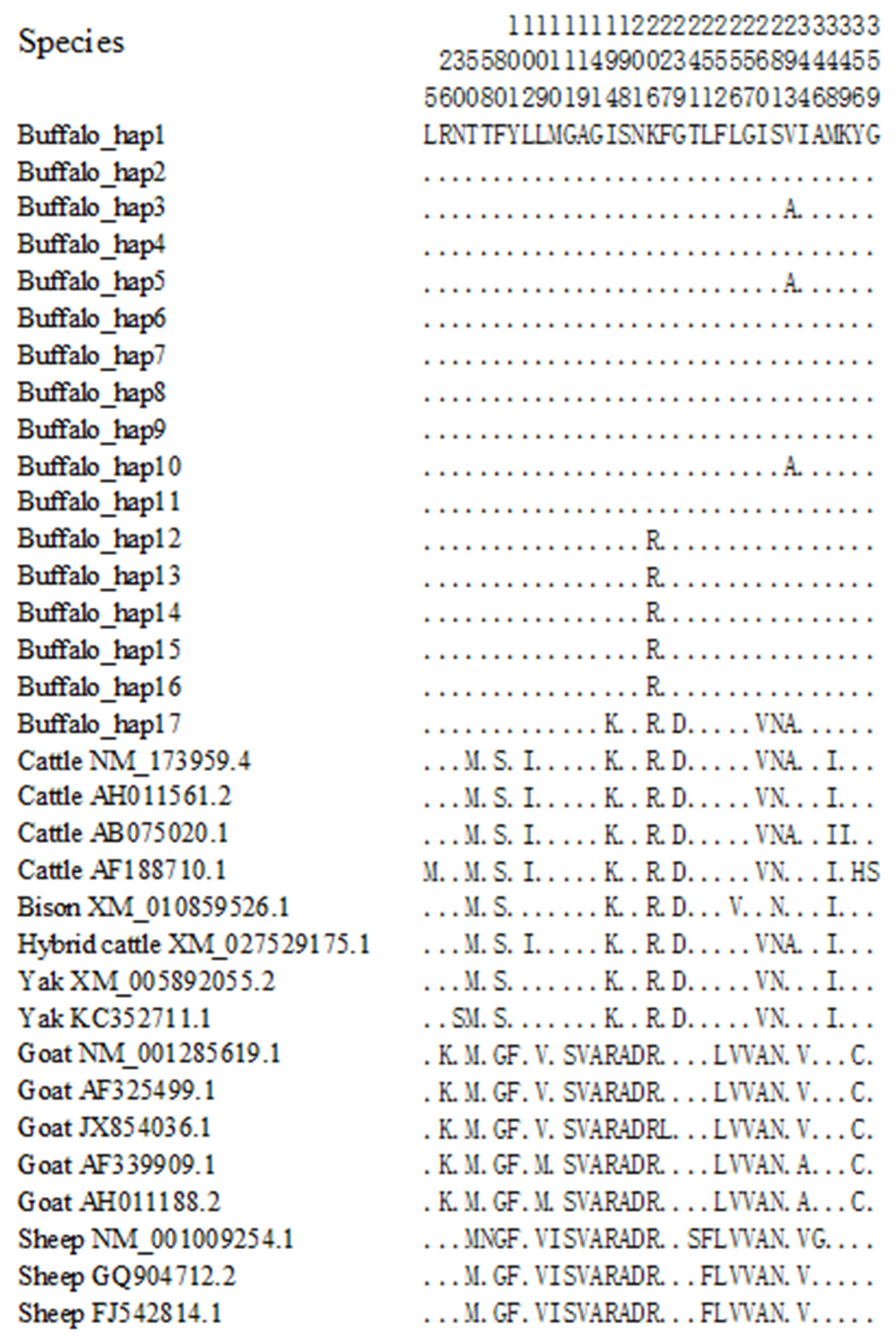 Animals 14 03191 g011