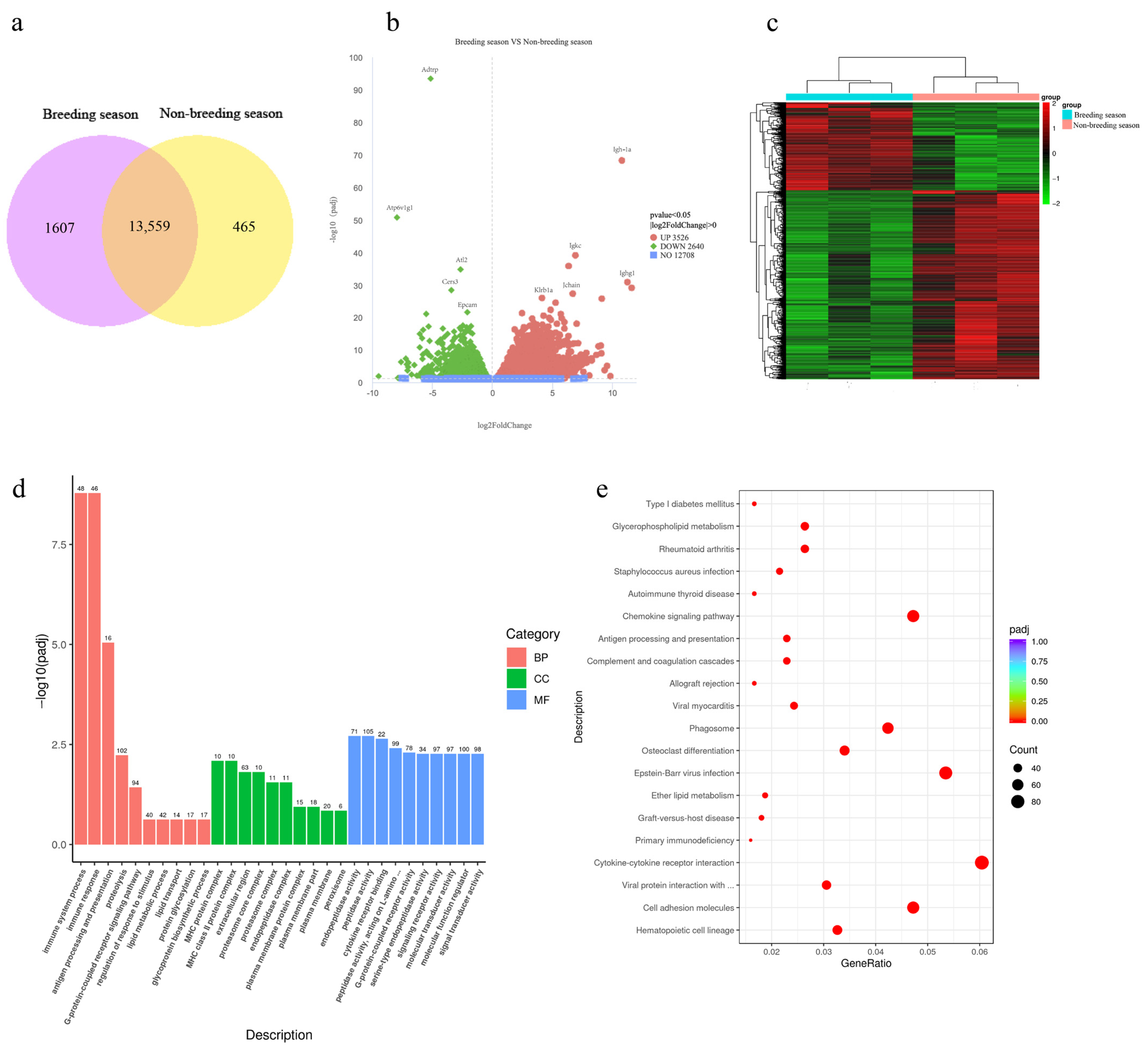Animals 14 03194 g001