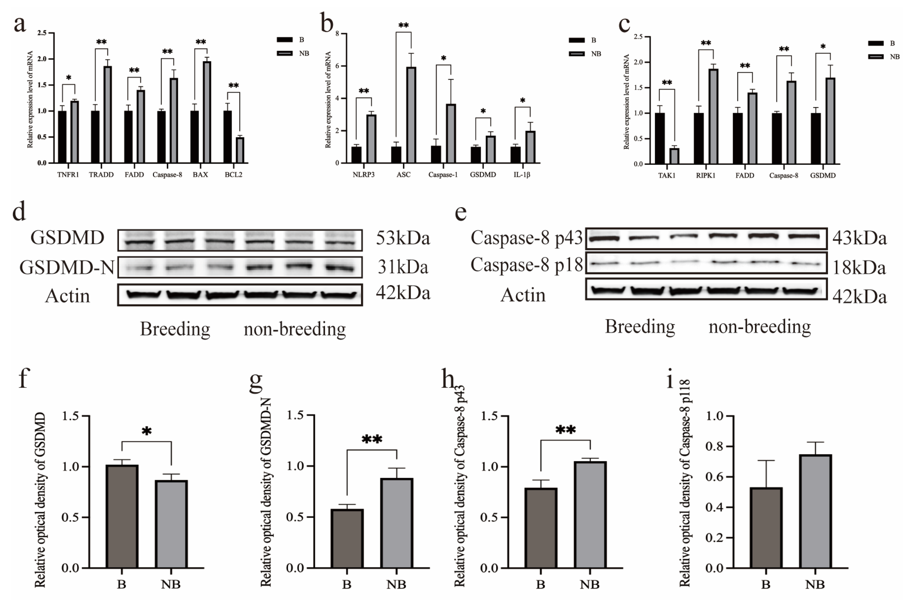 Animals 14 03194 g002
