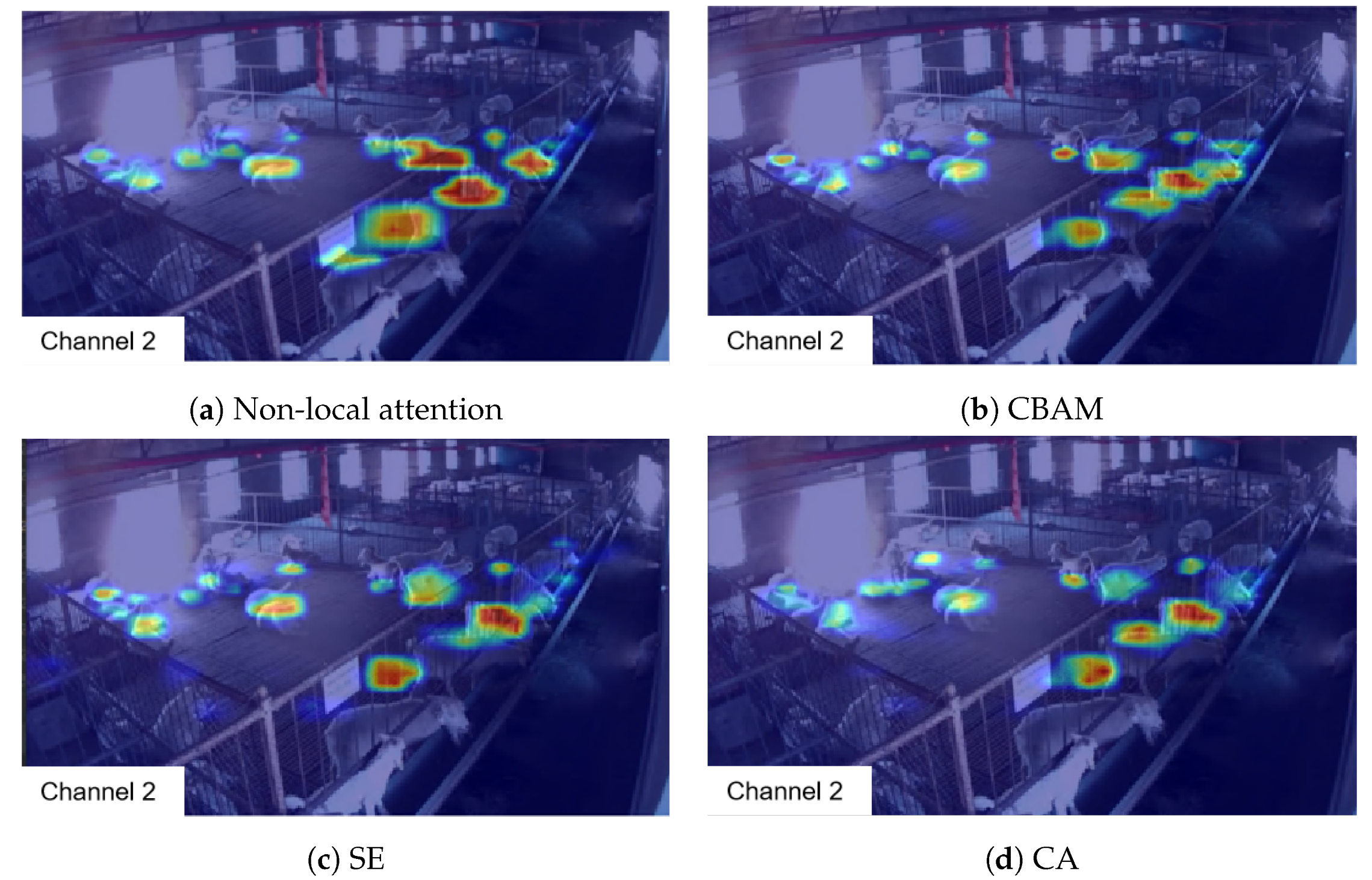 Animals 14 03197 g015