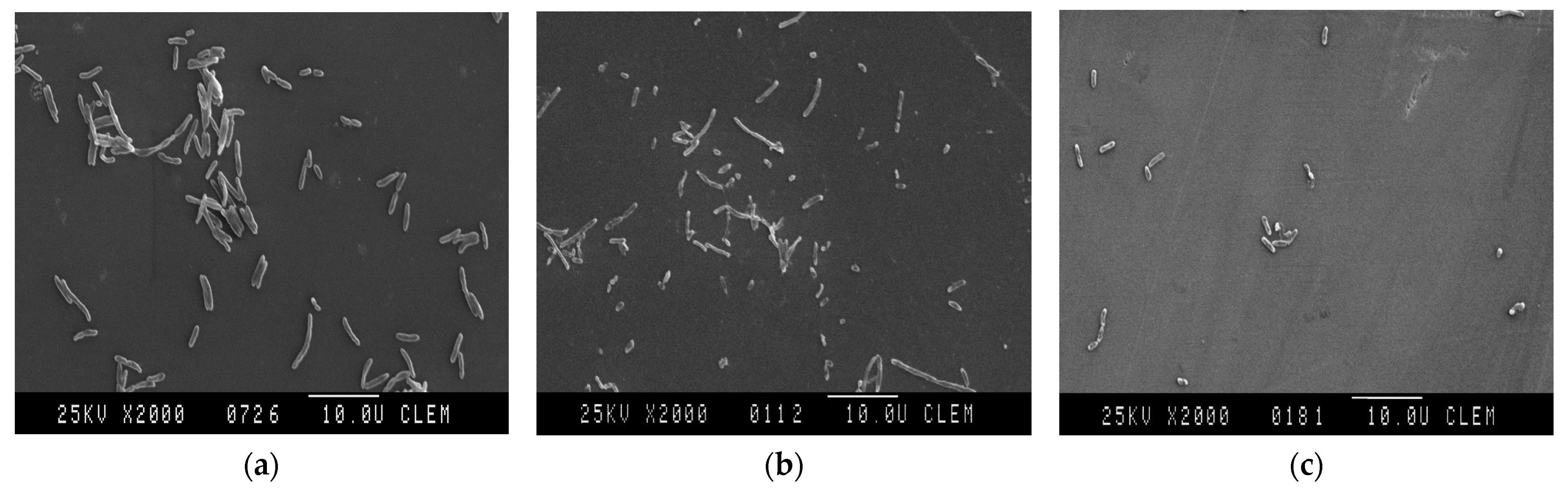 Animals 14 03202 g002