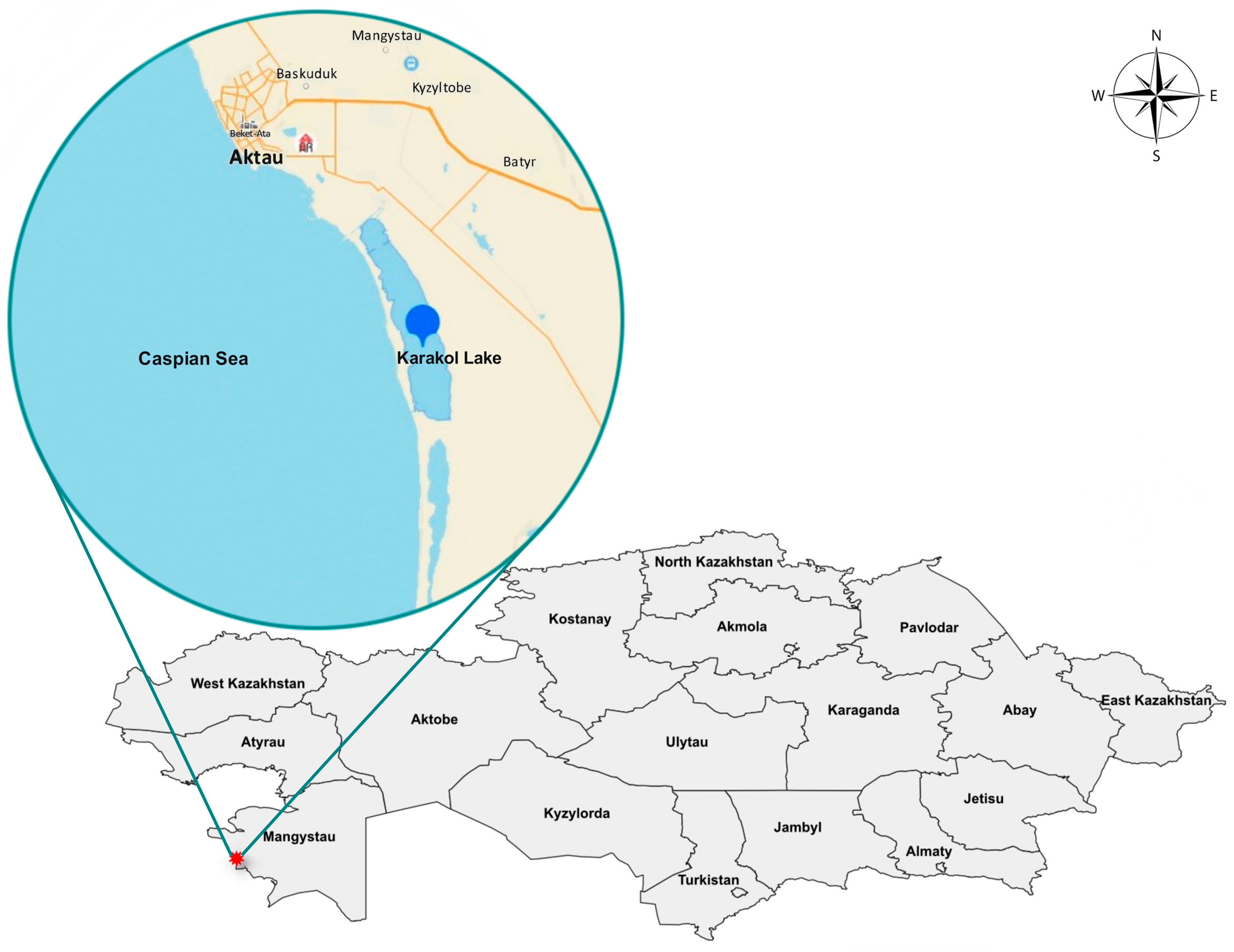 Animals 14 03211 g001