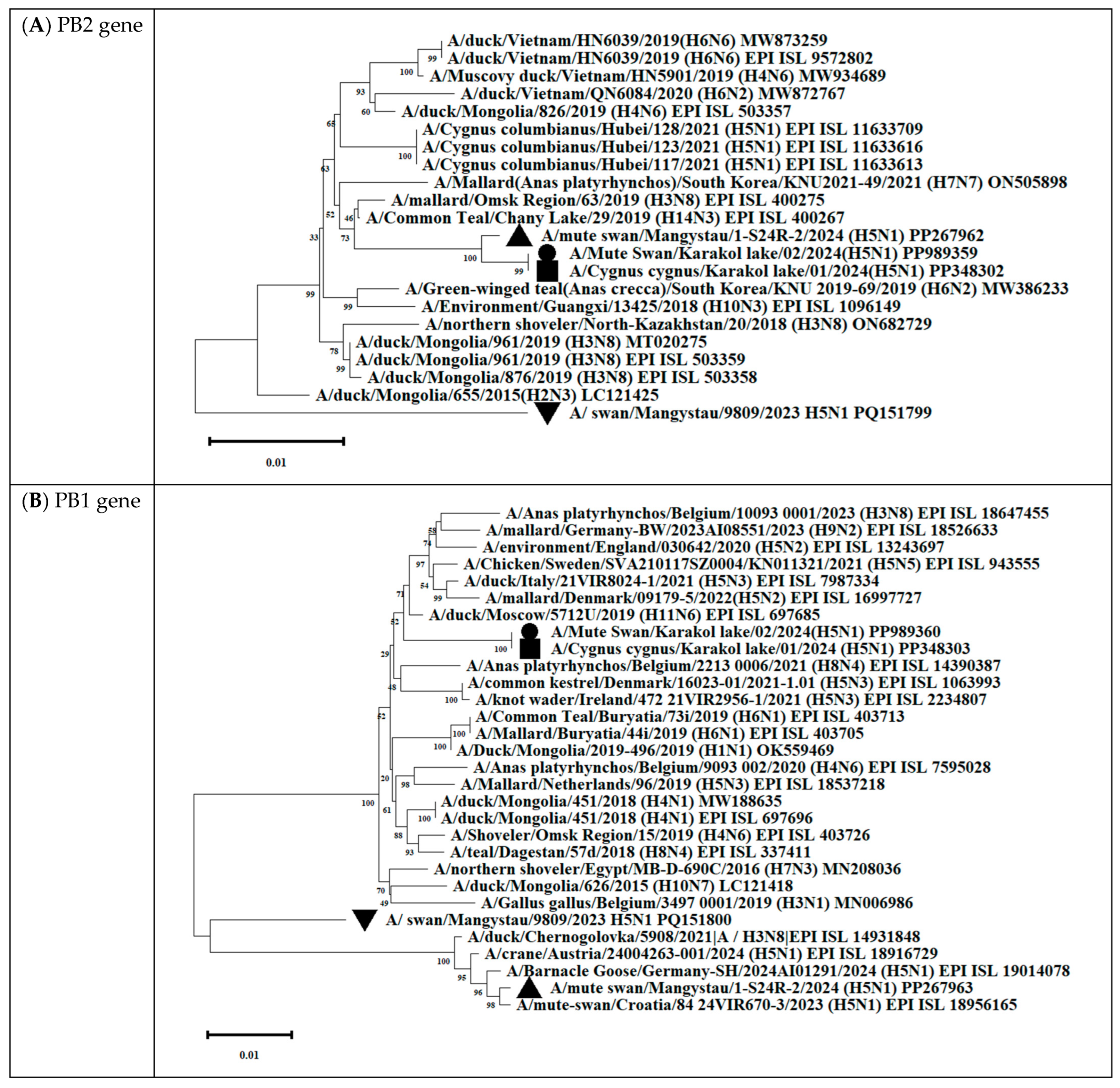 Animals 14 03211 g012a