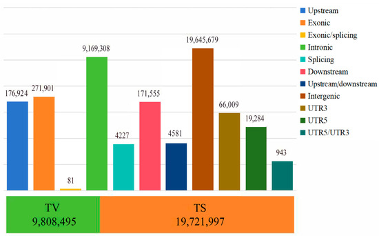 a2点 Koło zębate zmiennych faz rozrządu 55354438 (Astra G, H, J