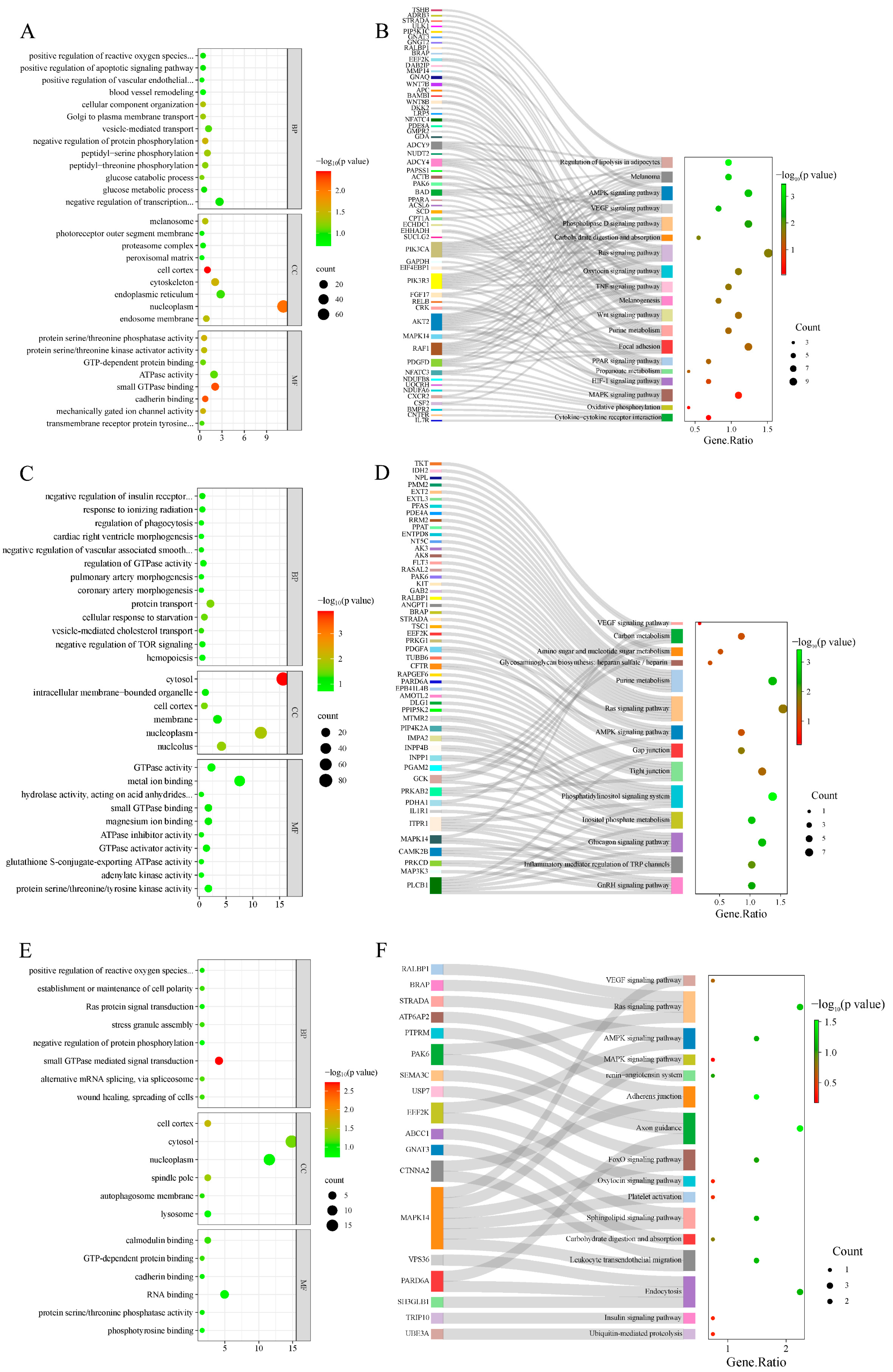 Animals 14 03212 g004