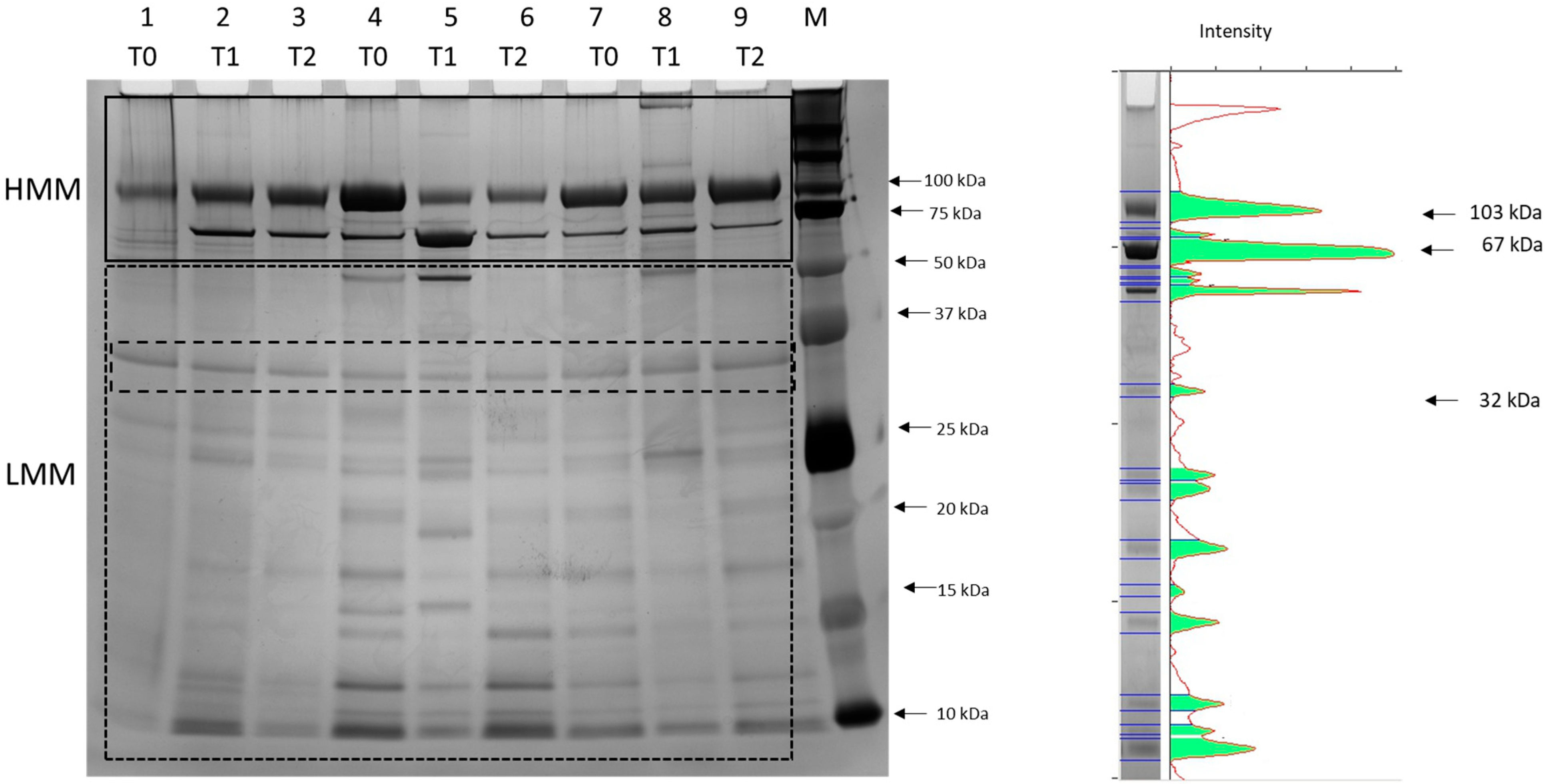 Animals 14 03216 g003