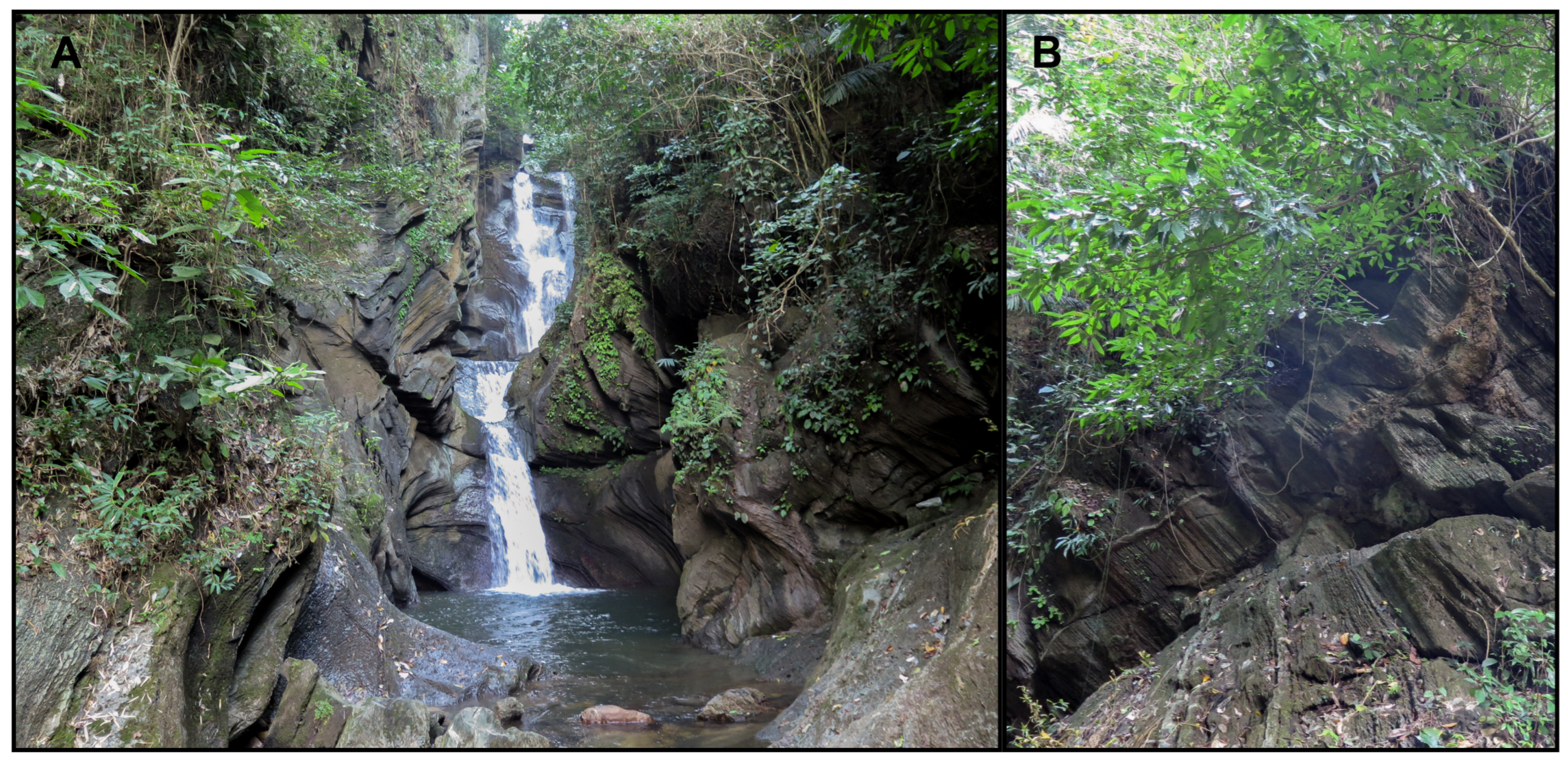 Animals 14 03226 g009