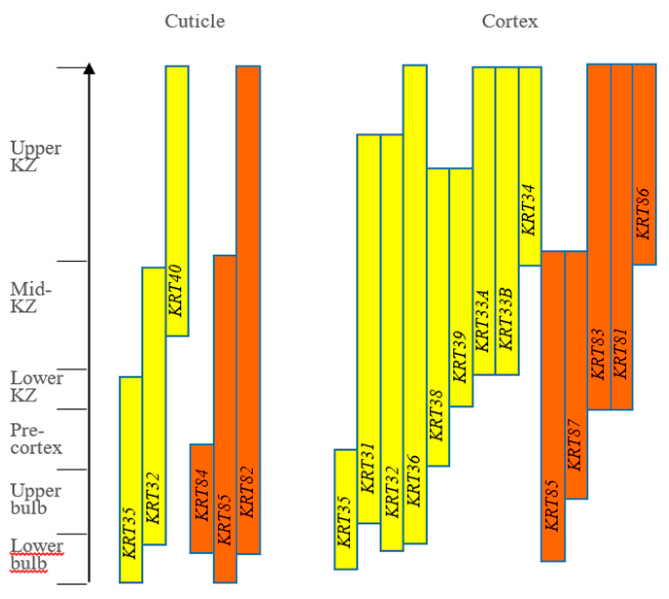 Animals 14 03228 g002