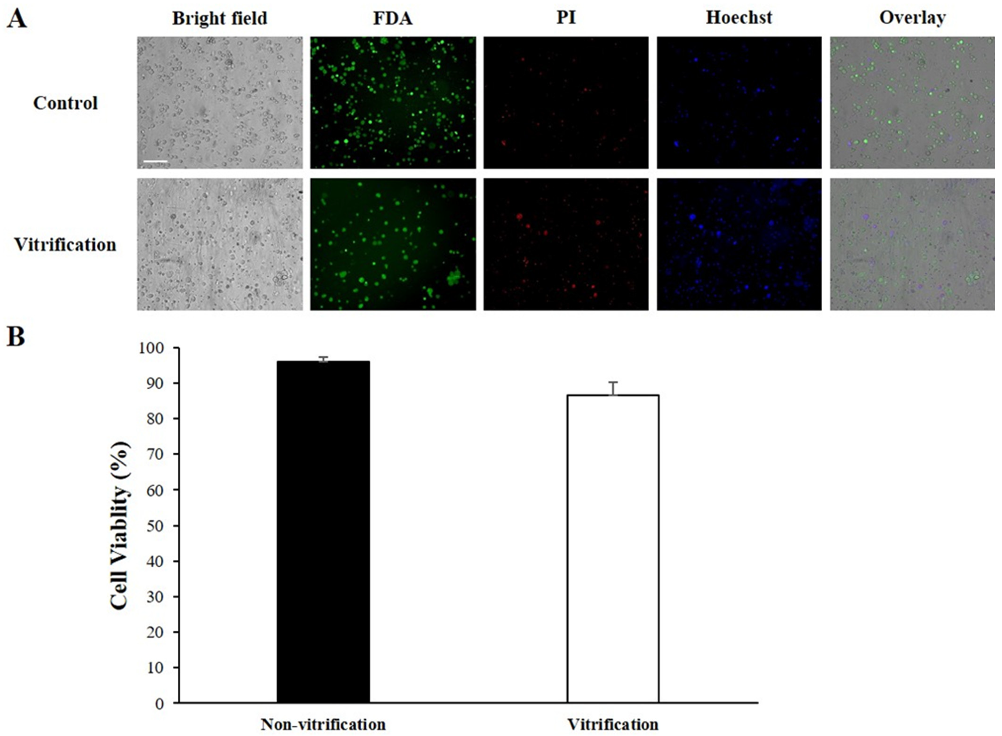 Animals 14 03229 g005