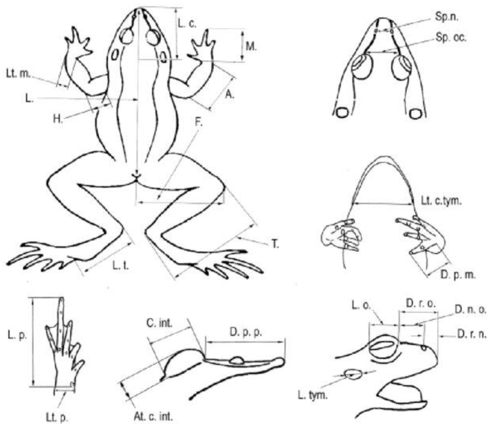 Animals 14 03230 g002 Animals 14 03230 g002