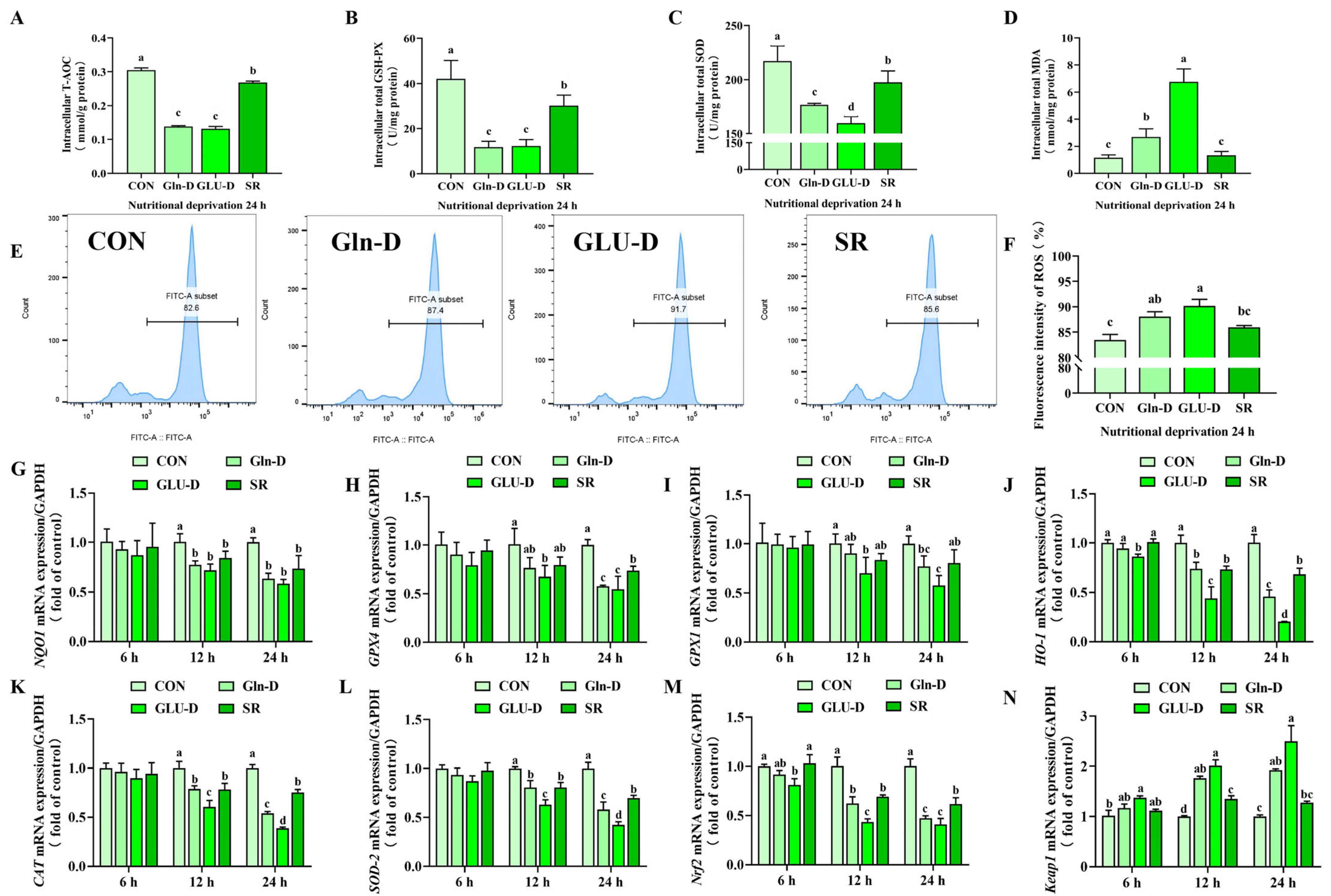 Animals 14 03232 g004