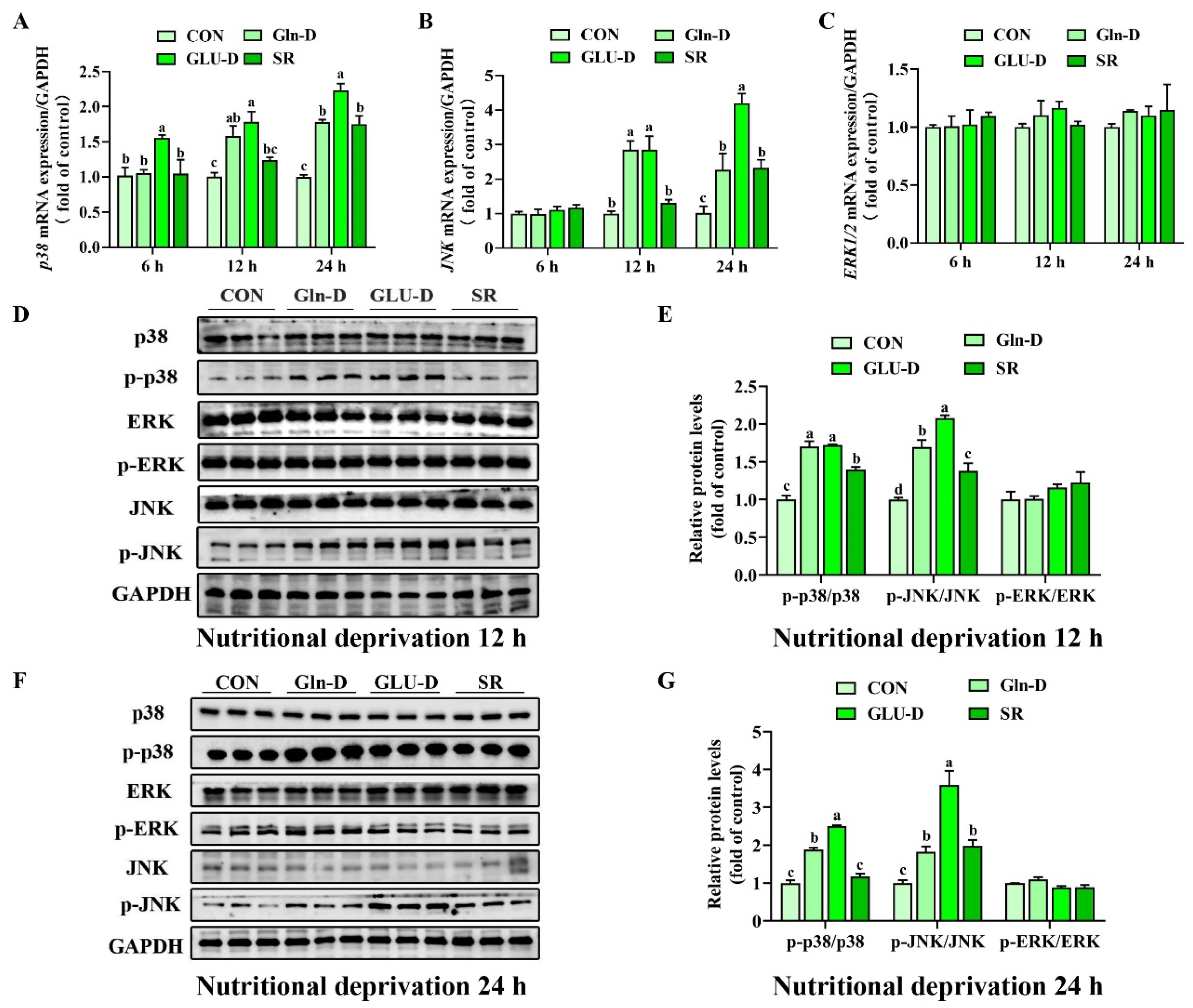 Animals 14 03232 g007