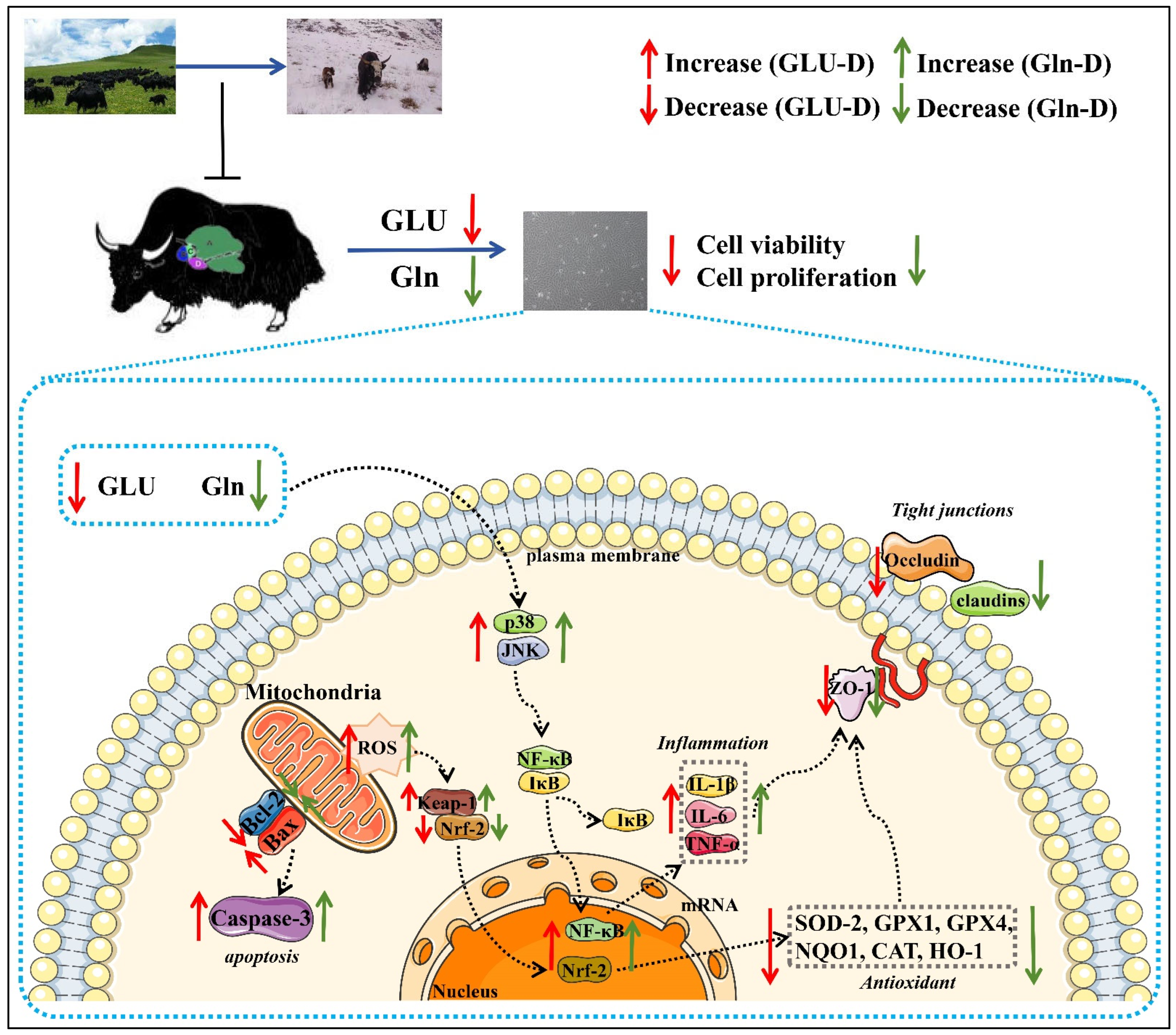 Animals 14 03232 g009