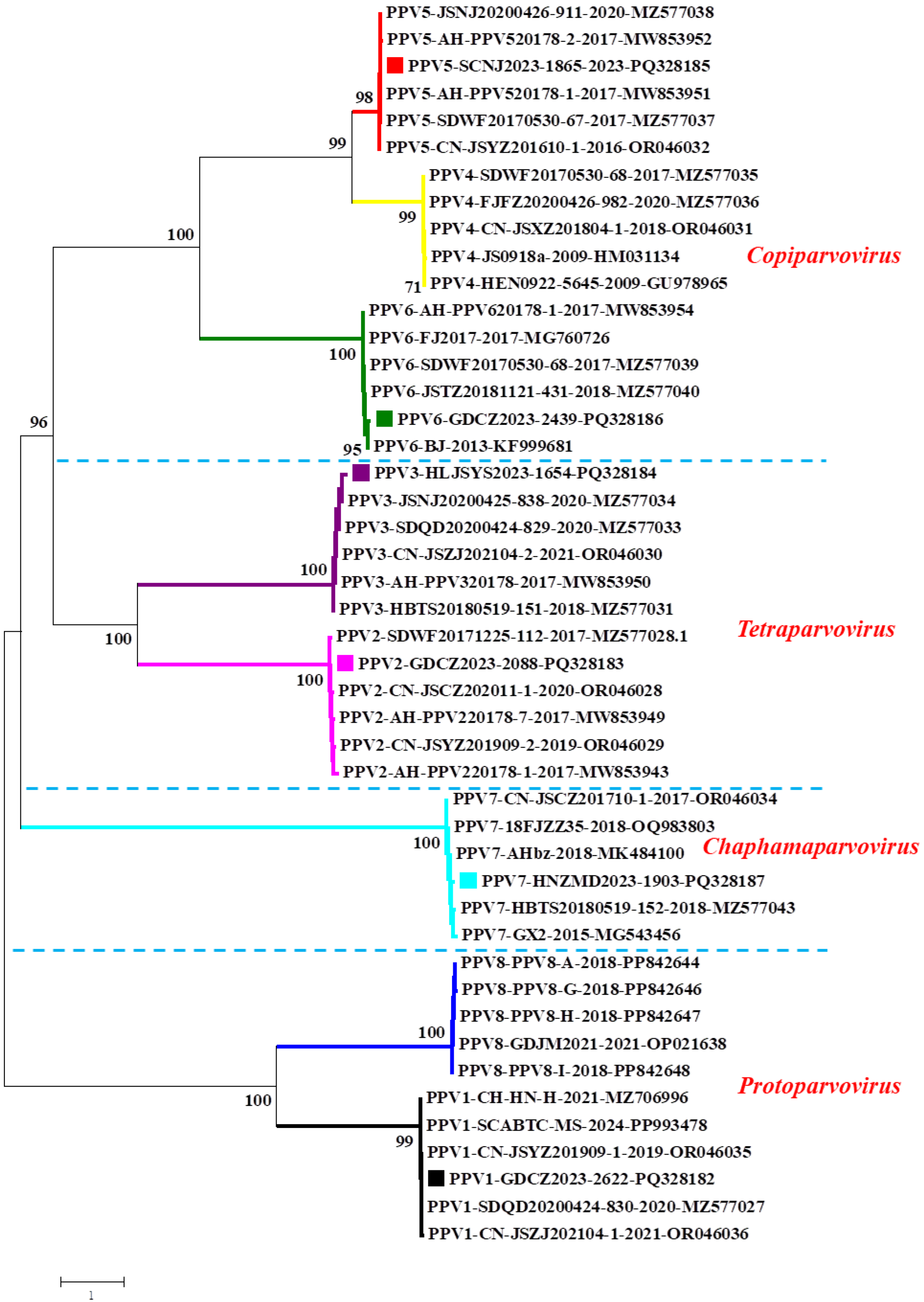 Animals 14 03238 g001
