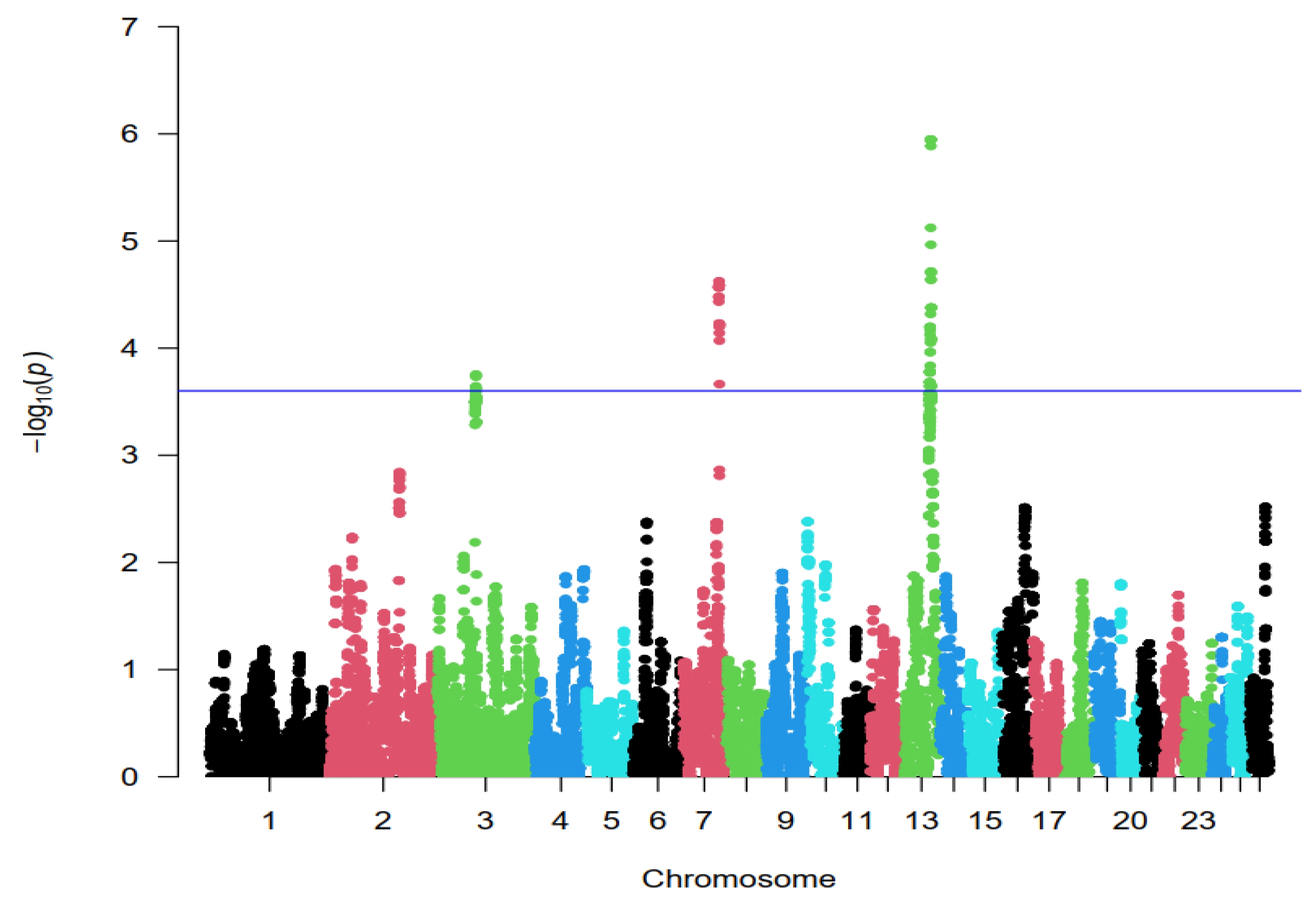 Animals 14 03245 g003