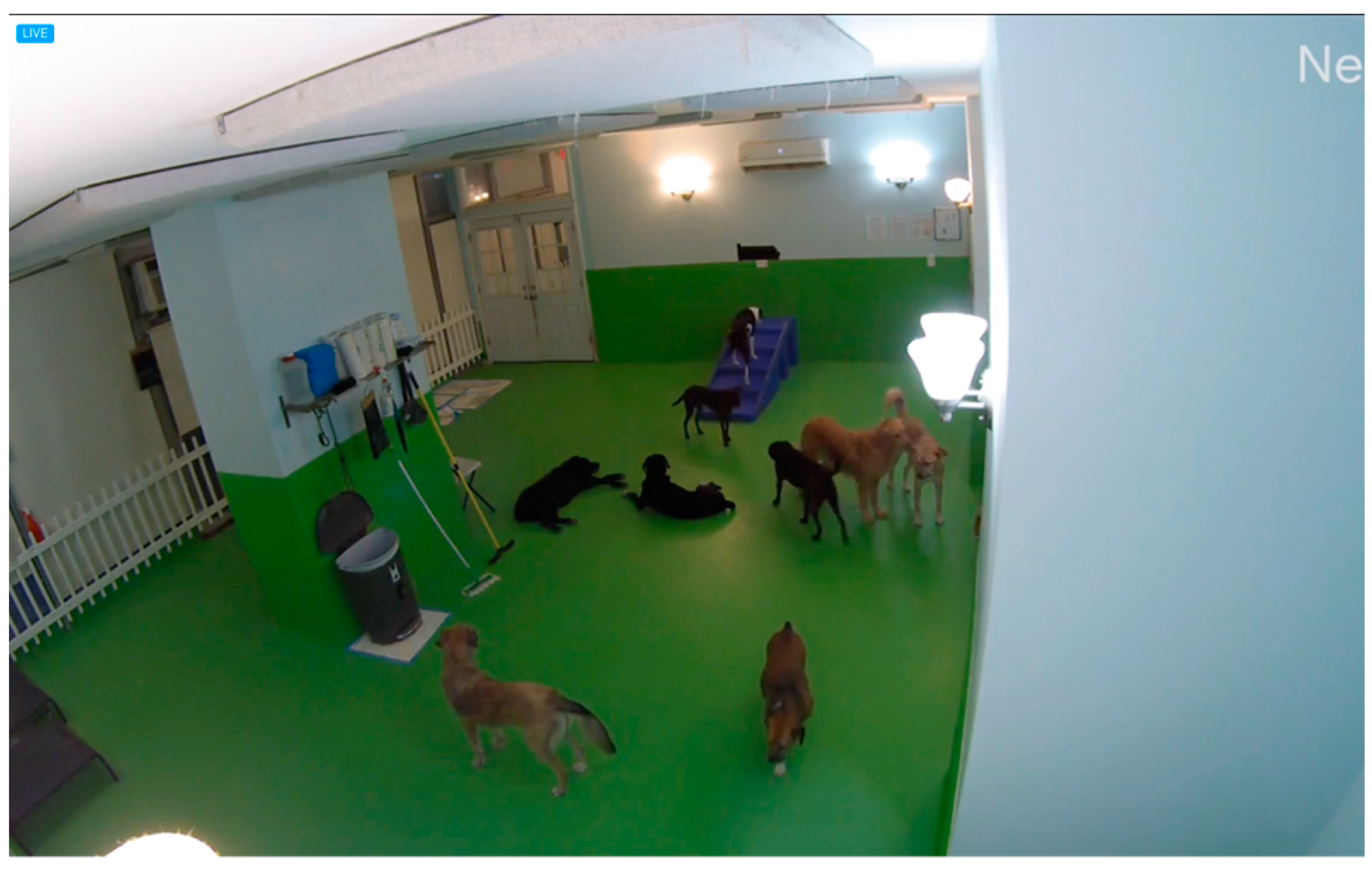 Animals 14 03248 g002