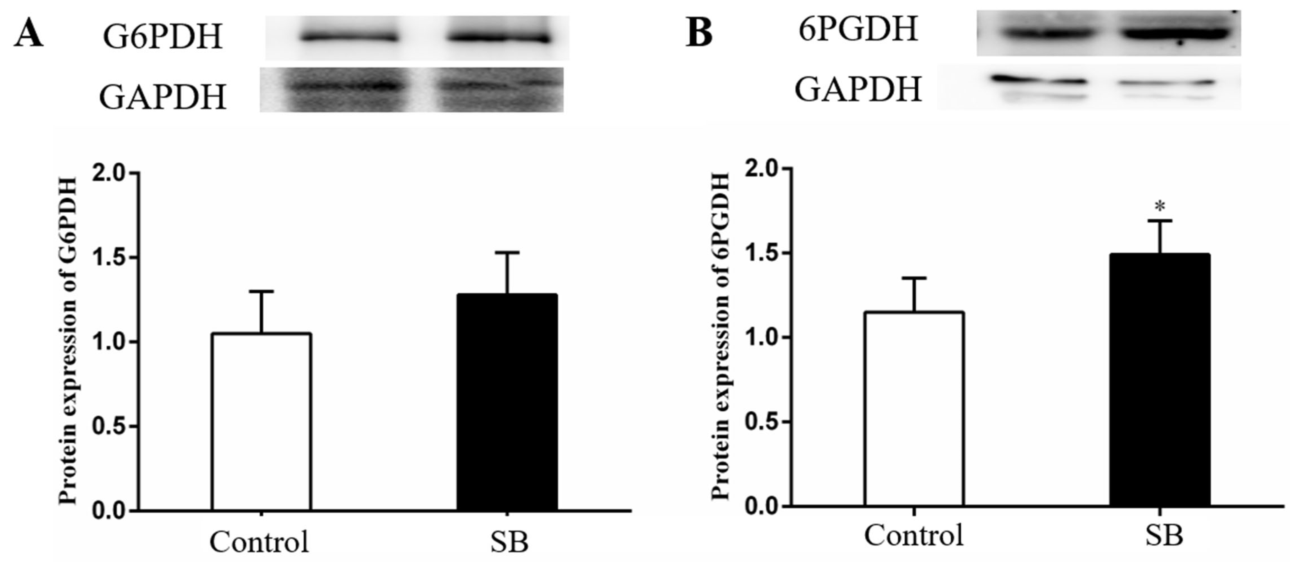 Animals 14 03249 g006