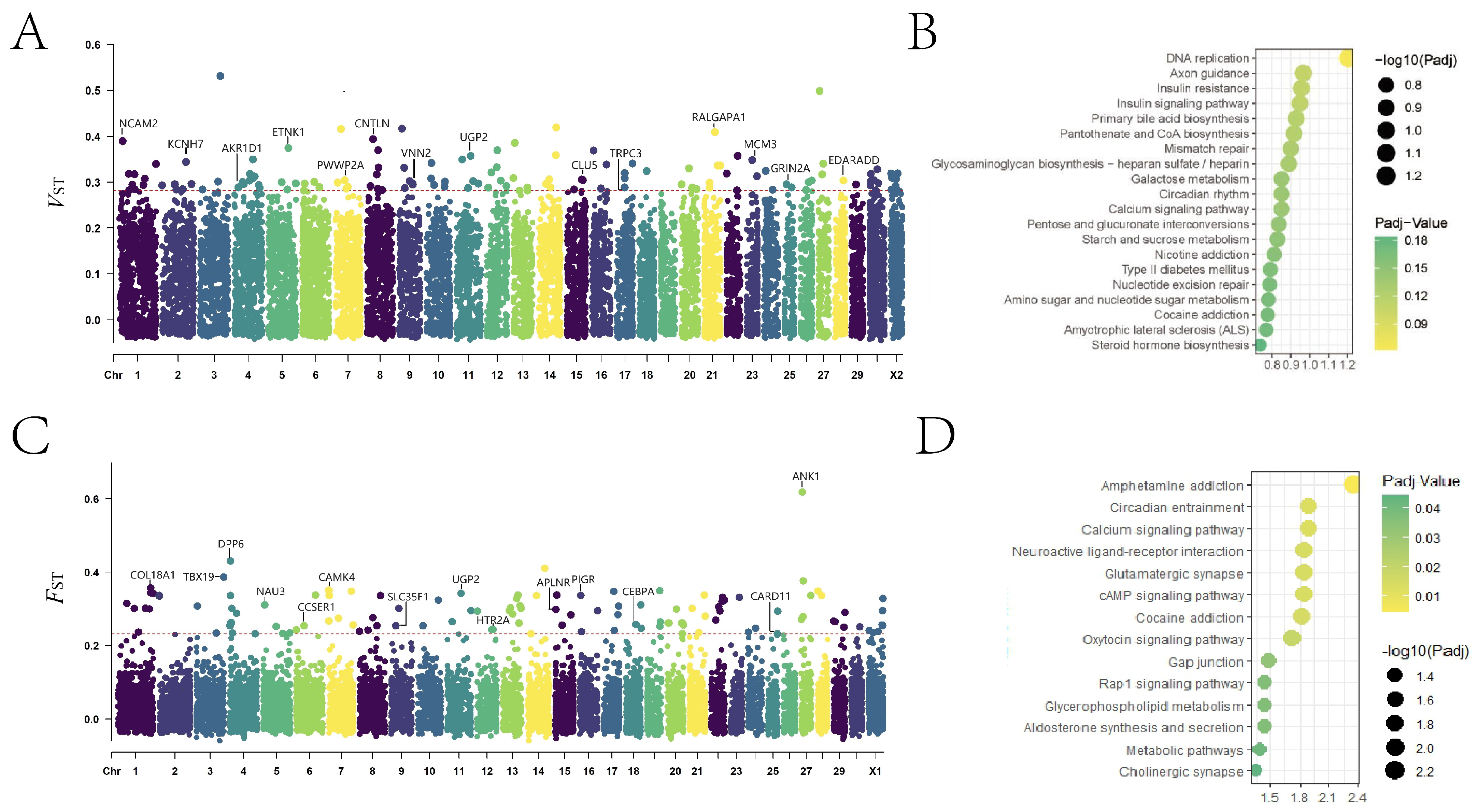 Animals 14 03252 g001