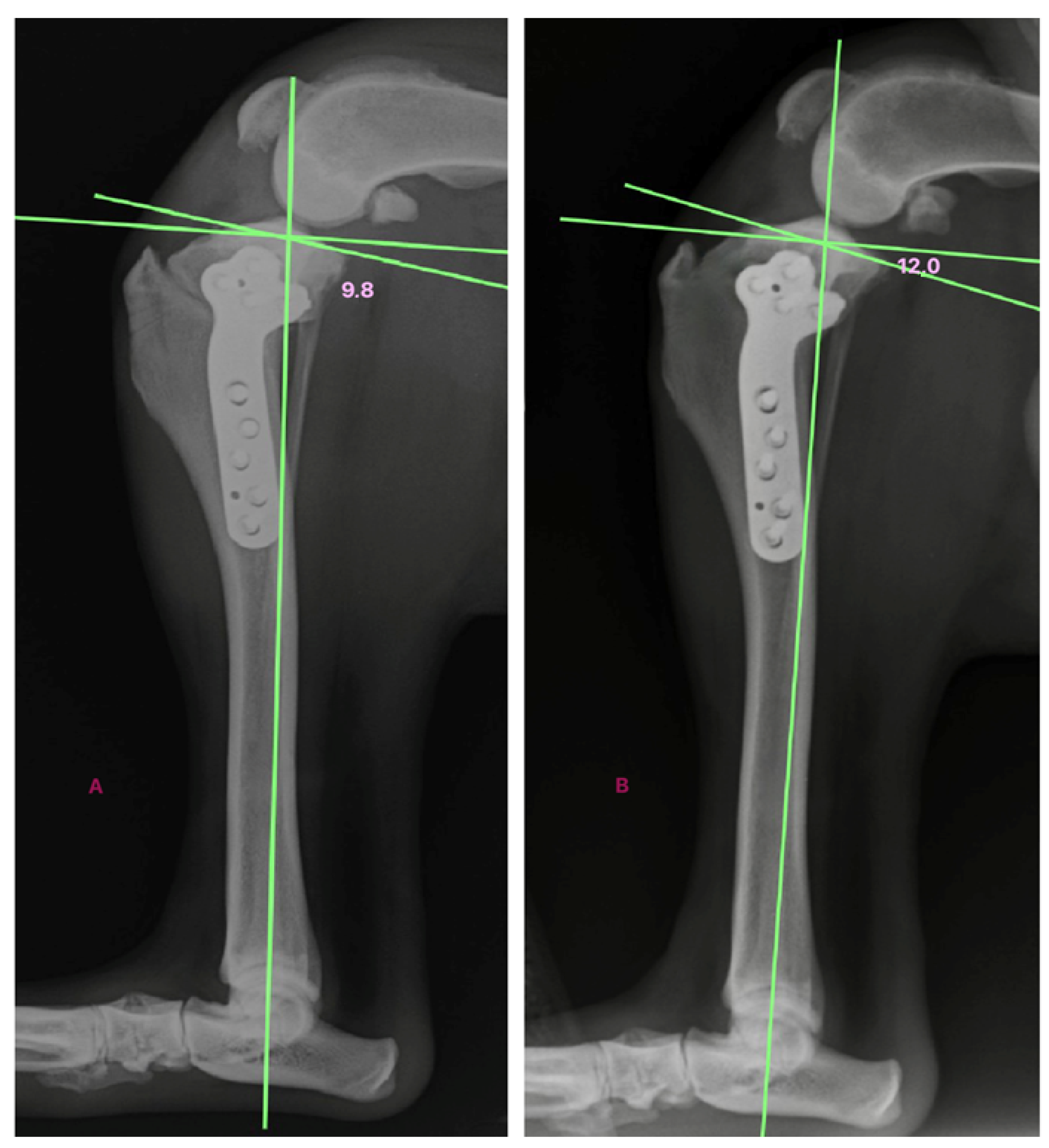 Animals 14 03253 g003