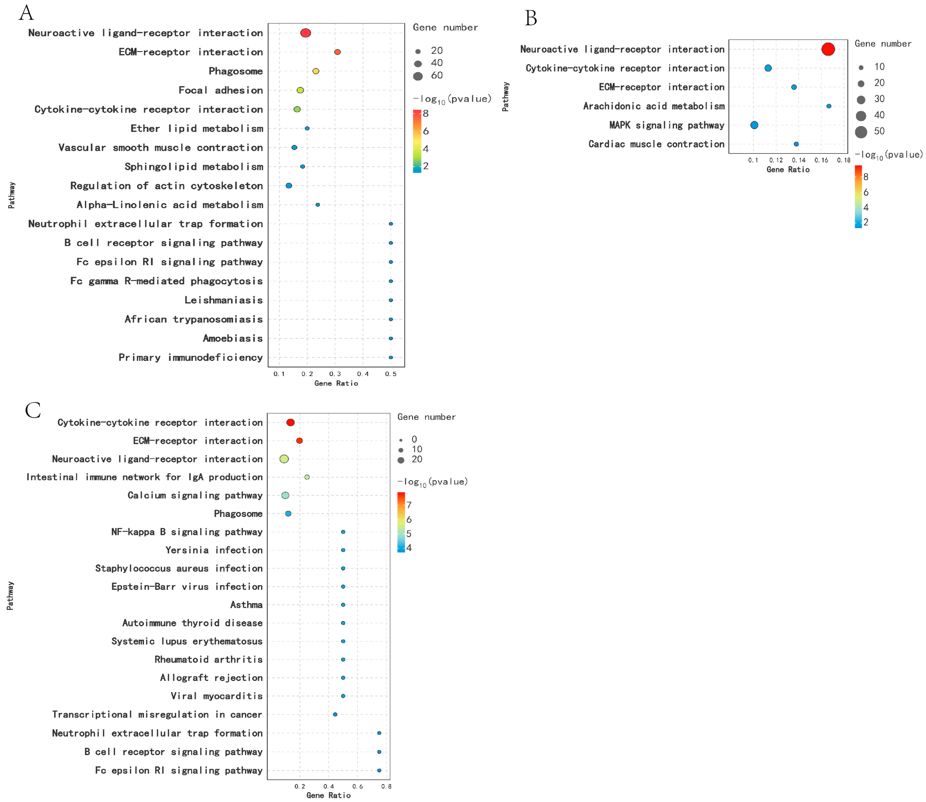 Animals 14 03258 g004